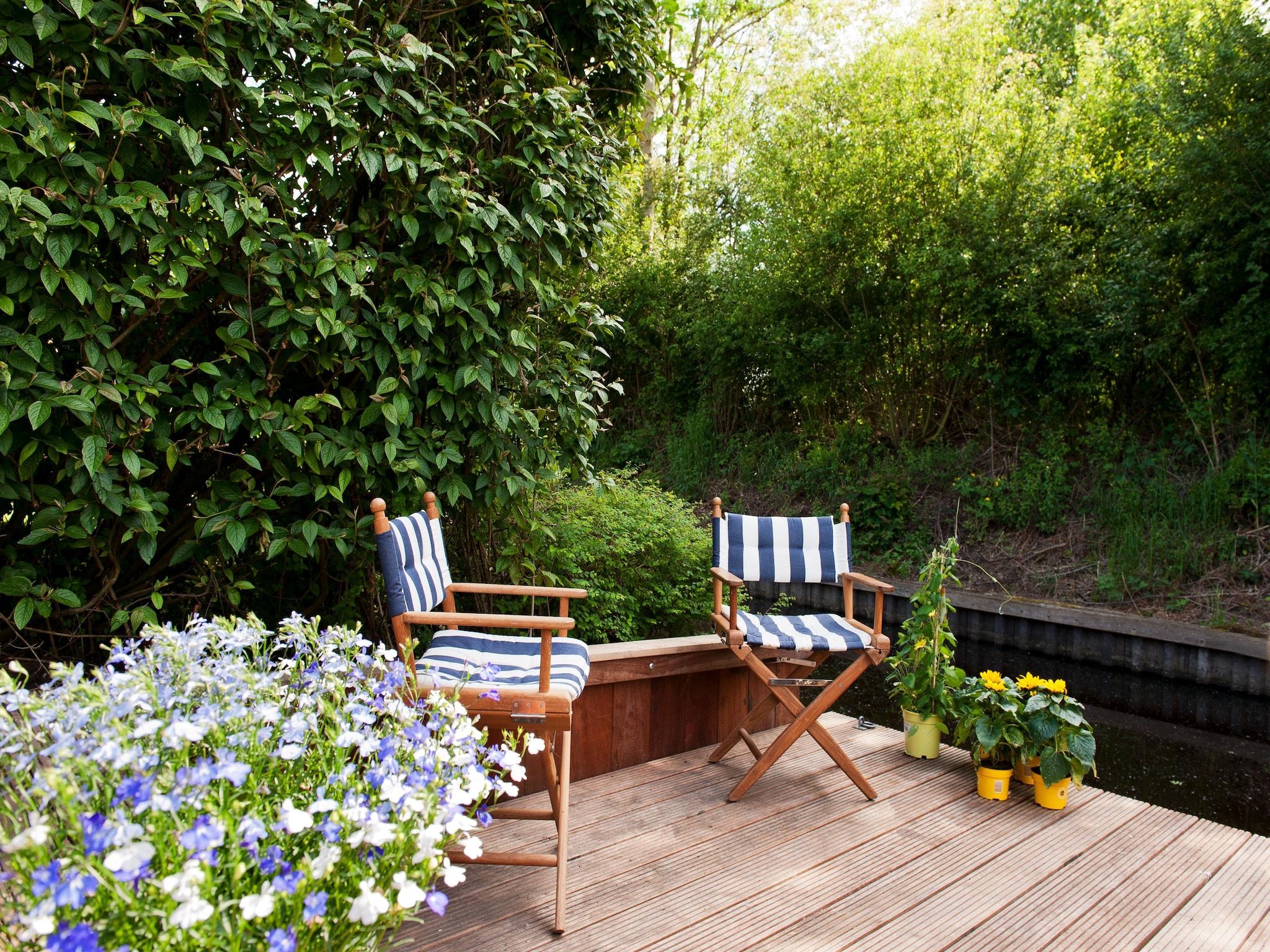 De tuin van Grand Tolve Wellness de luxe met sauna buitenspa & sloep in Earnewald