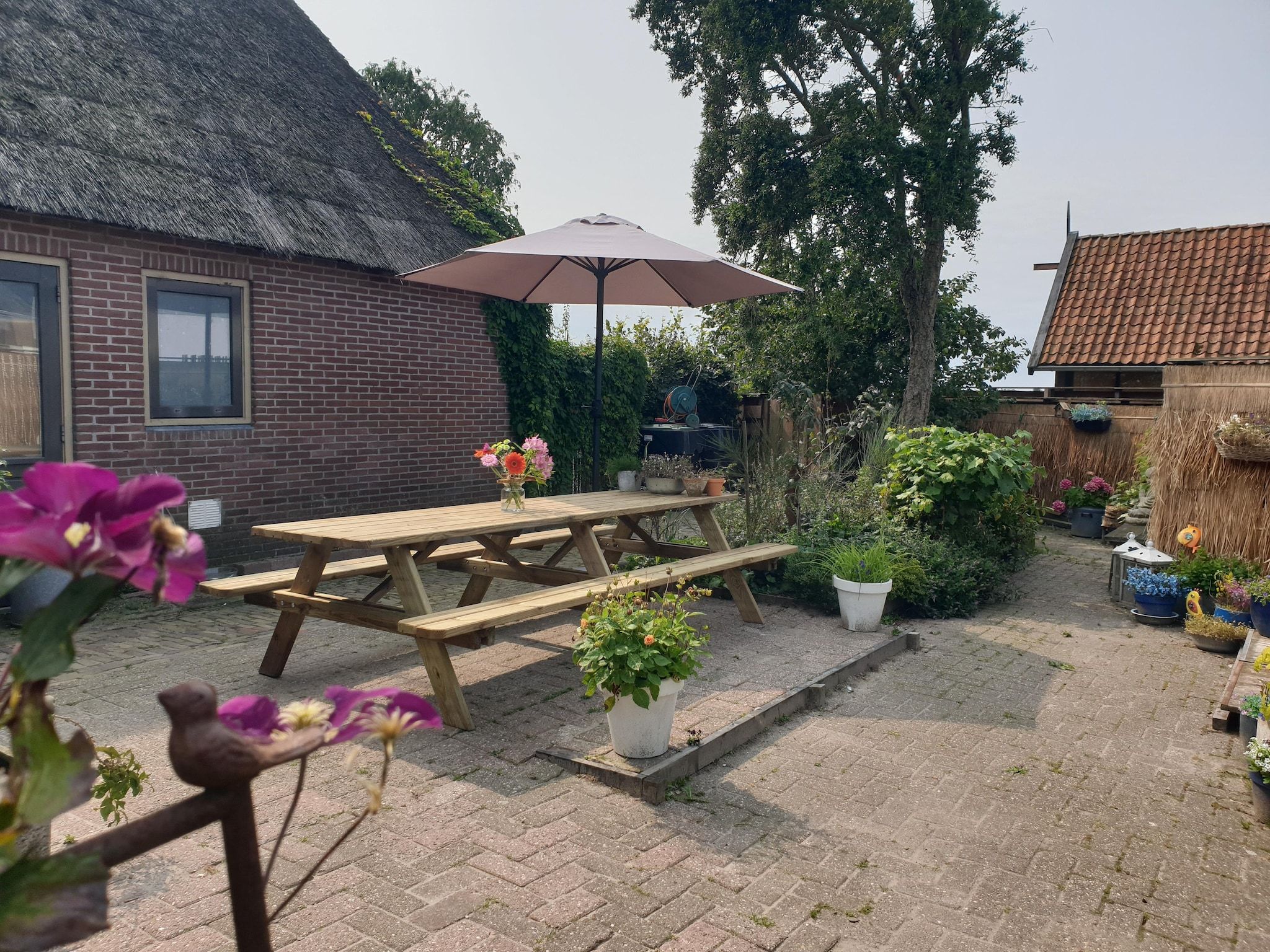 De tuin van 13-17 pax holiday home with separated apartments and gardens in Ternaard