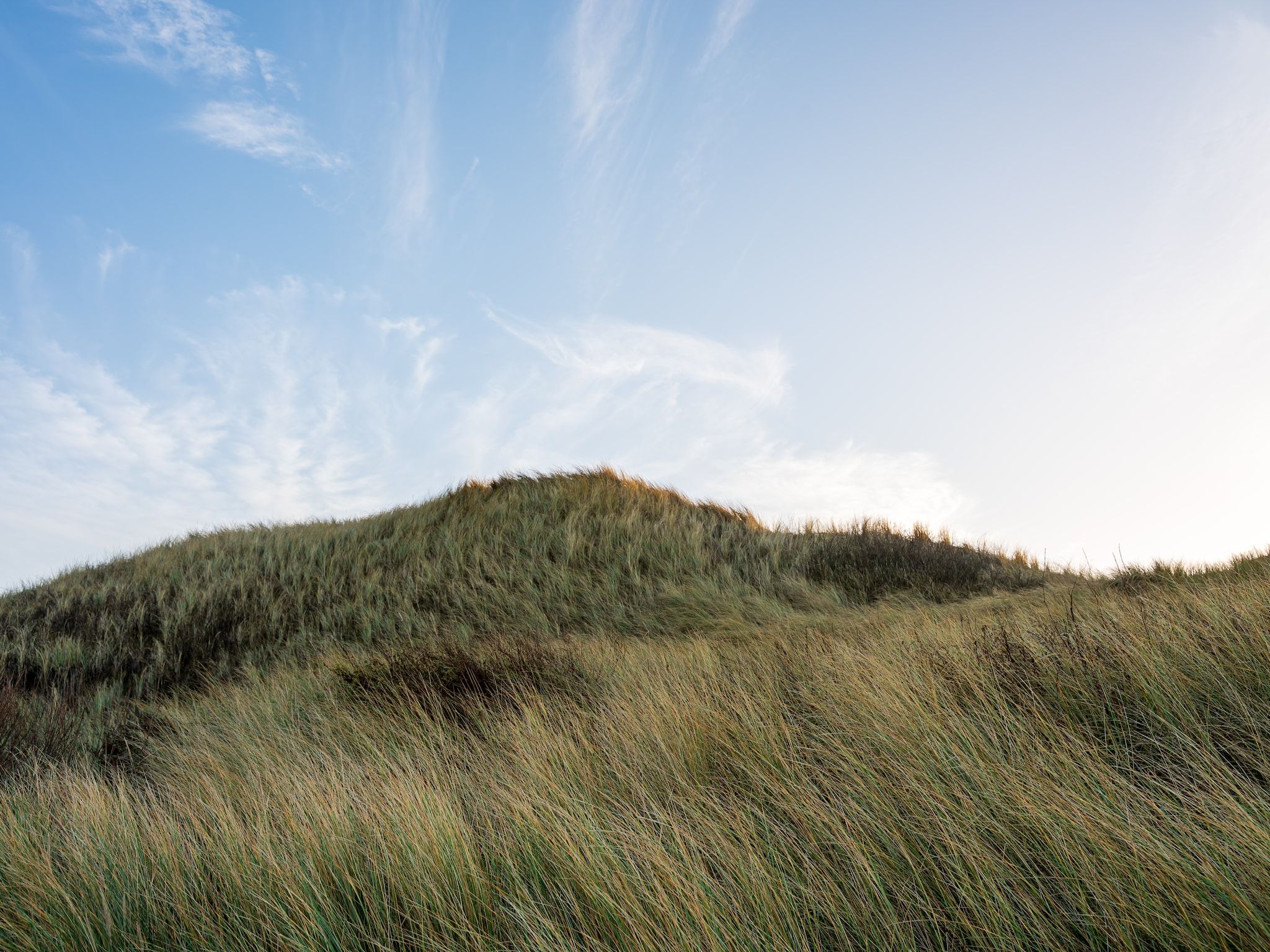 Sfeerbeeld van Loft Loopuyt in Julianadorp