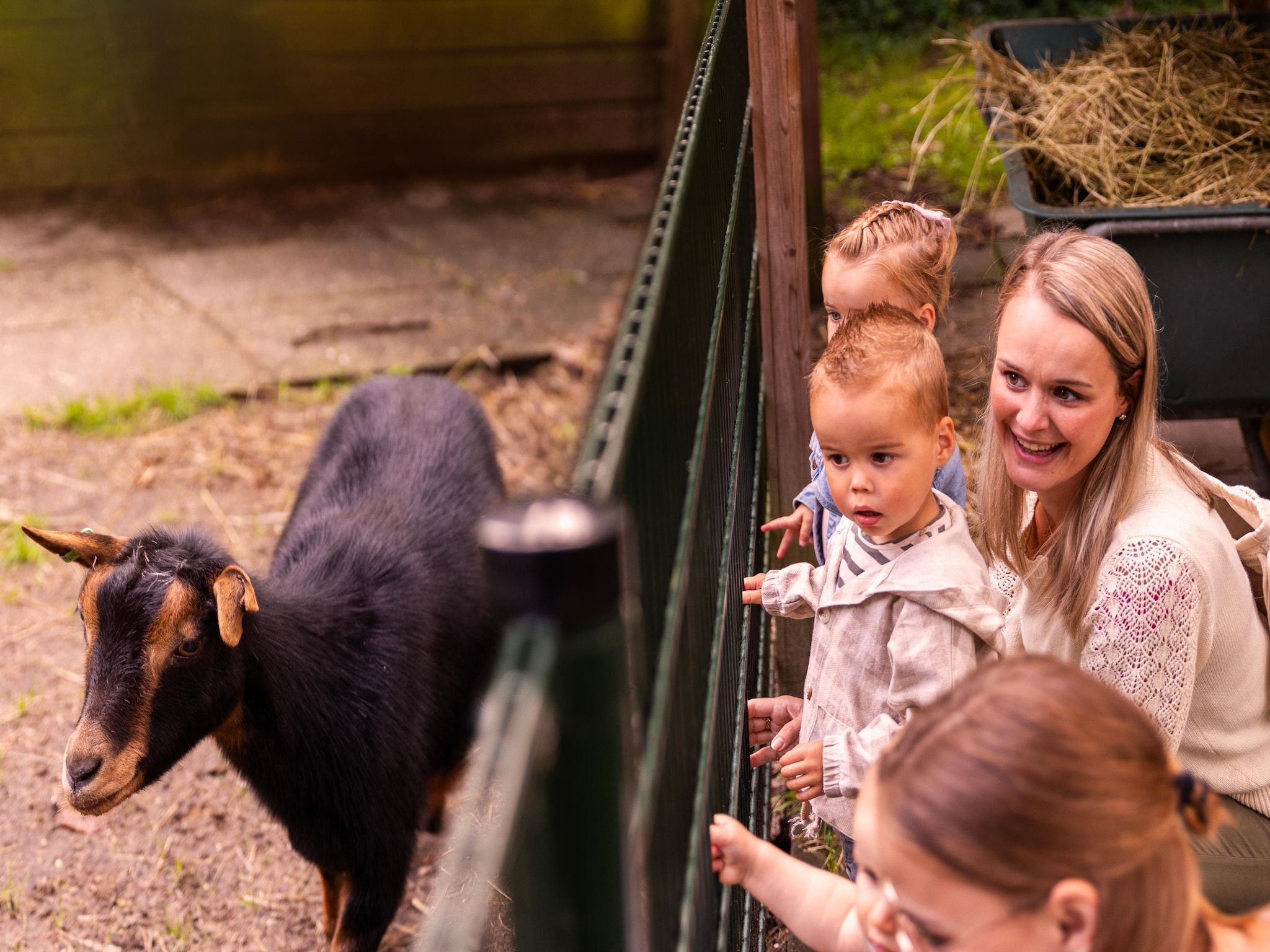 Parkfaciliteiten bij Parc Heihaas 14 in Putten