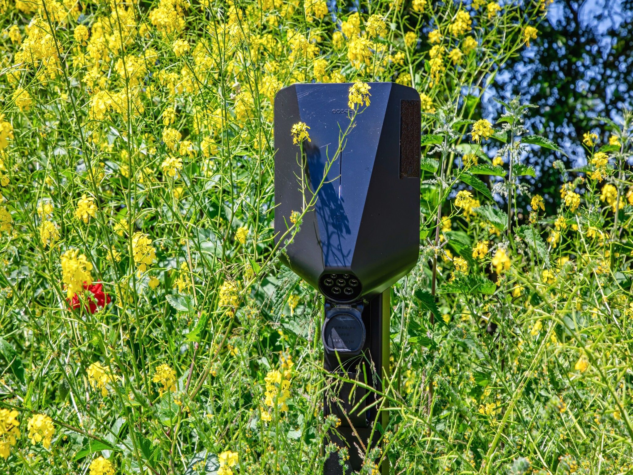 Sfeerbeeld van Familievilla Nieuw-Zeeland in Oosterend