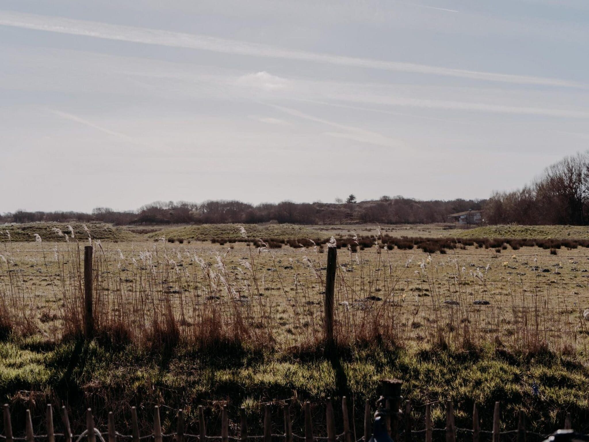 Juttershut Duynpark - Callantsoog in Callantsoog - Foto 39 van 39