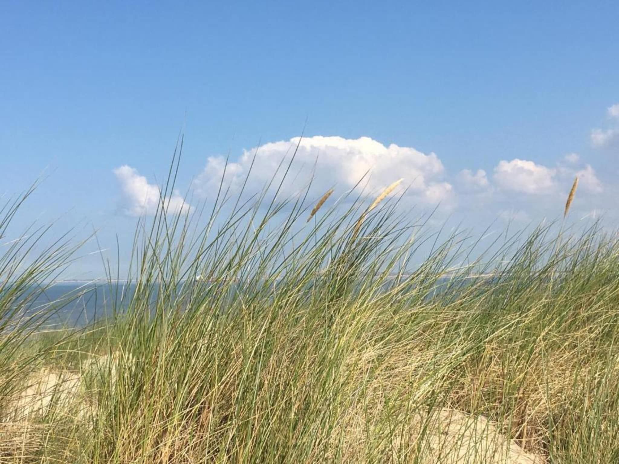 Harbour Village 3 in Arnemuiden - Foto 18 van 31