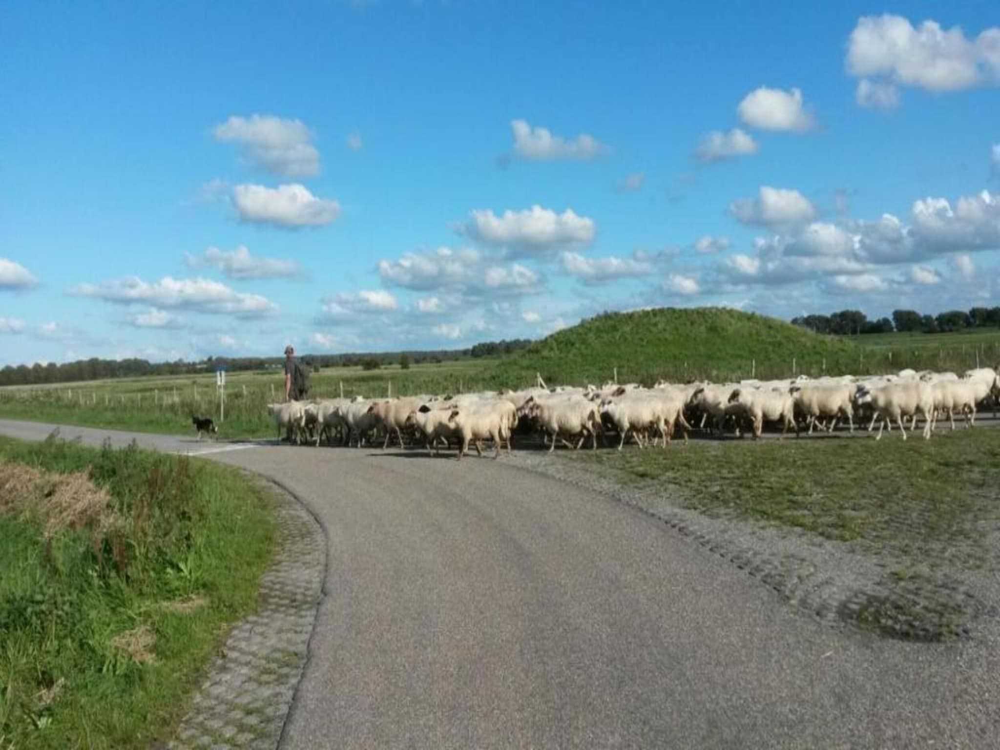 Harbour Village 3 in Arnemuiden - Foto 15 van 31