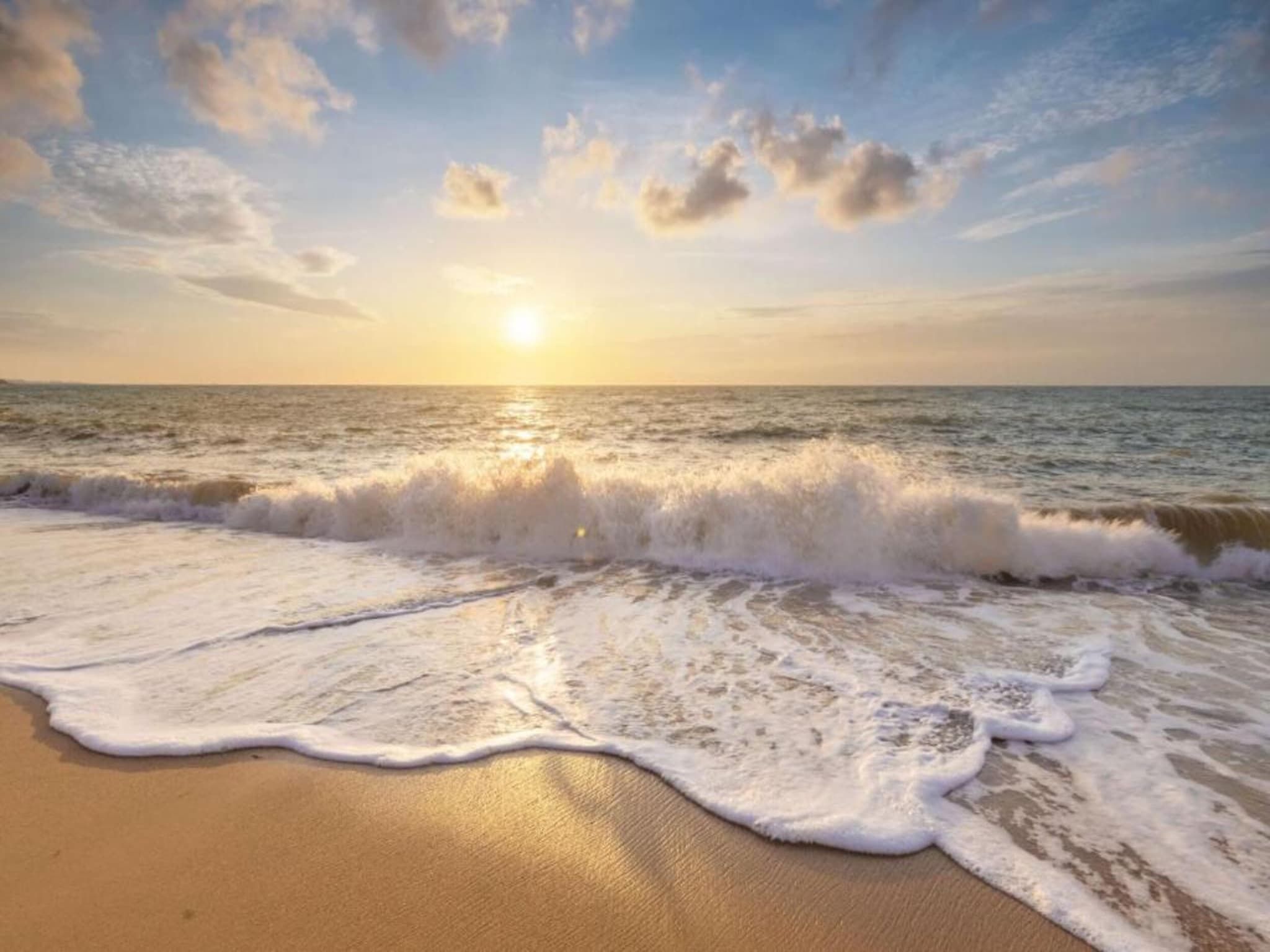 Duinvink in Sint Maartenszee - Foto 21 van 34