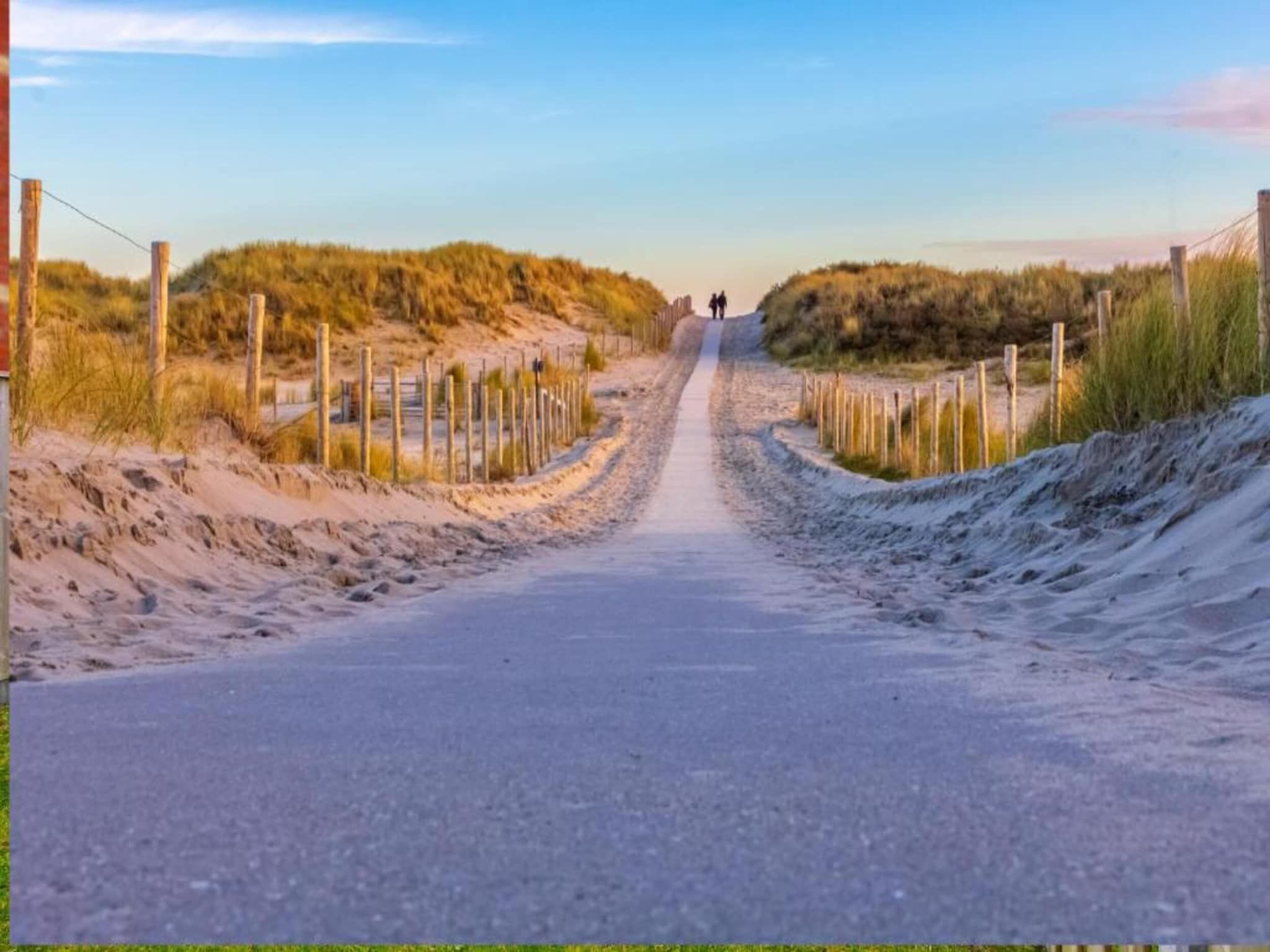 Duinvink in Sint Maartenszee - Foto 25 van 34