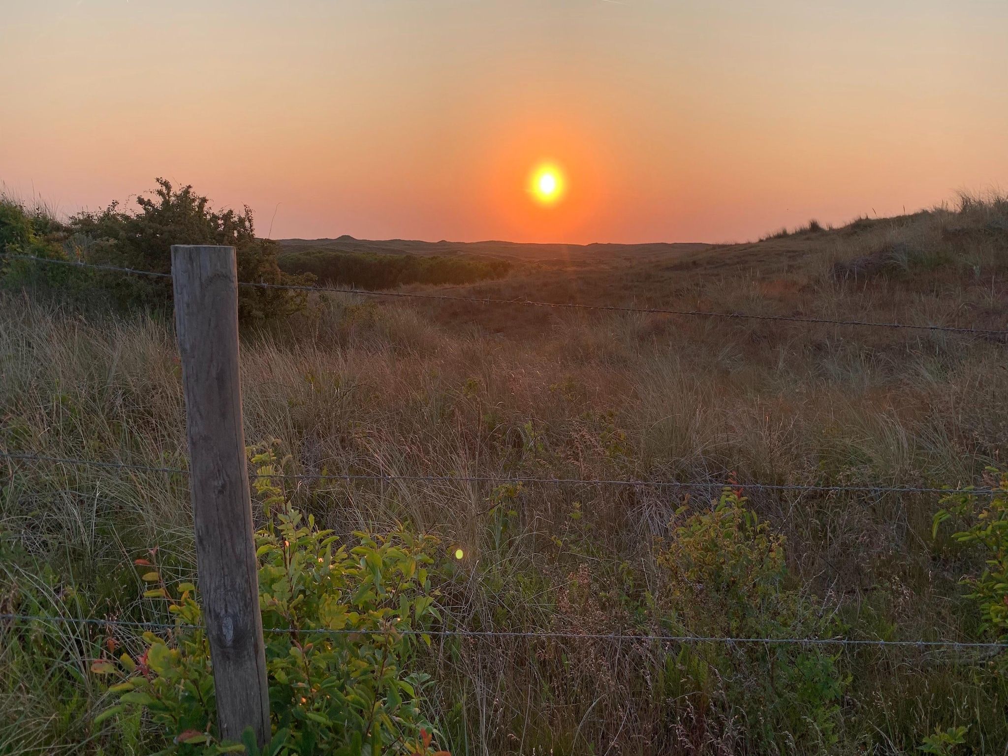 De omgeving van Vossehoeck 2 in Callantsoog