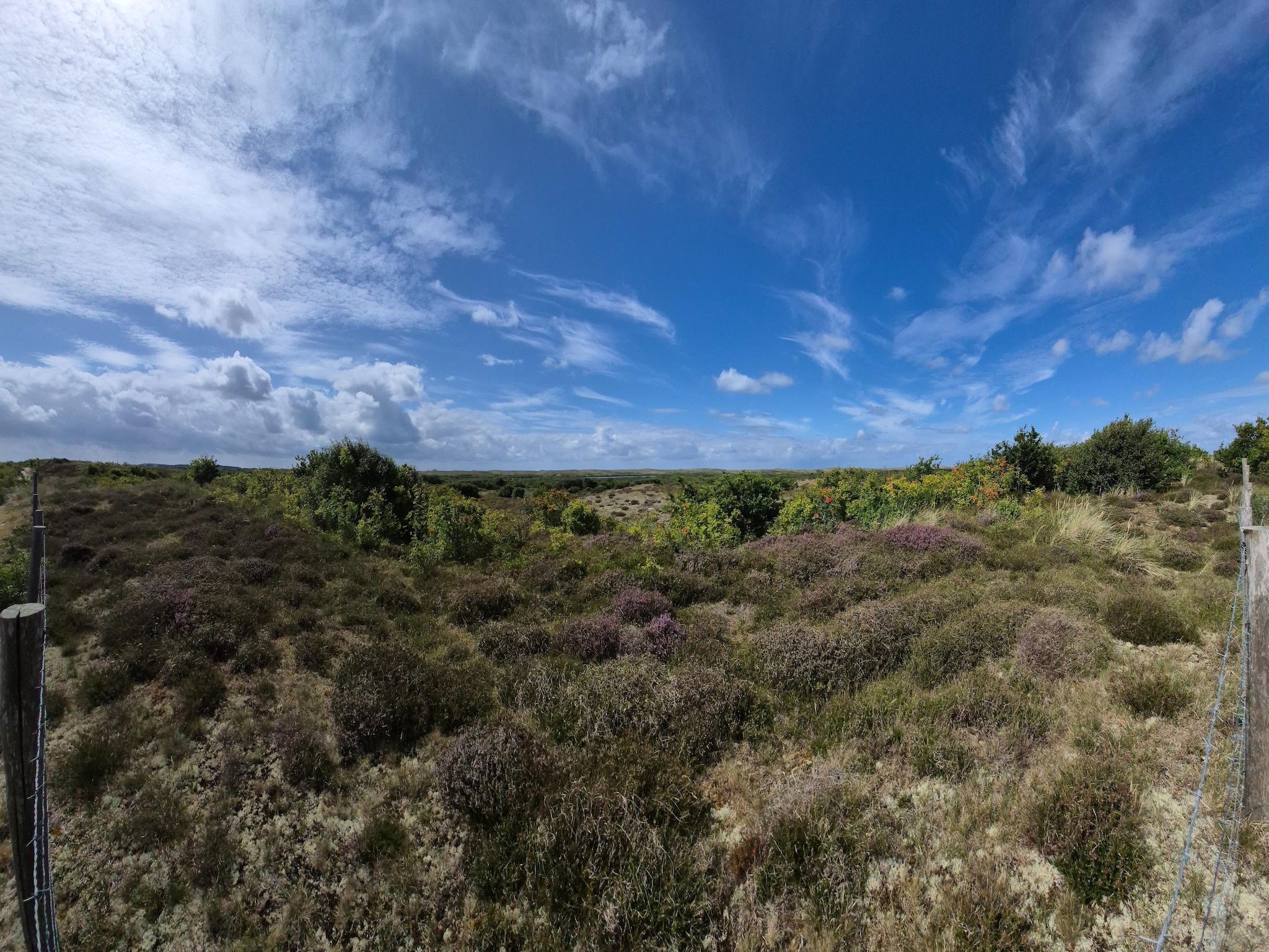 De omgeving van Vossehoeck 2 in Callantsoog