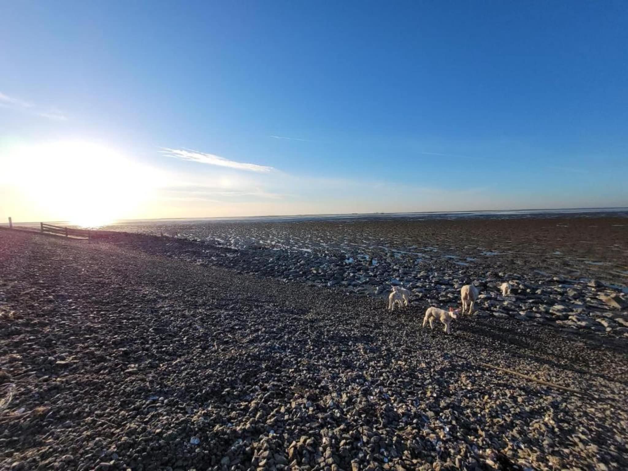 8 persoons villa in Sondel - Foto 25 van 40