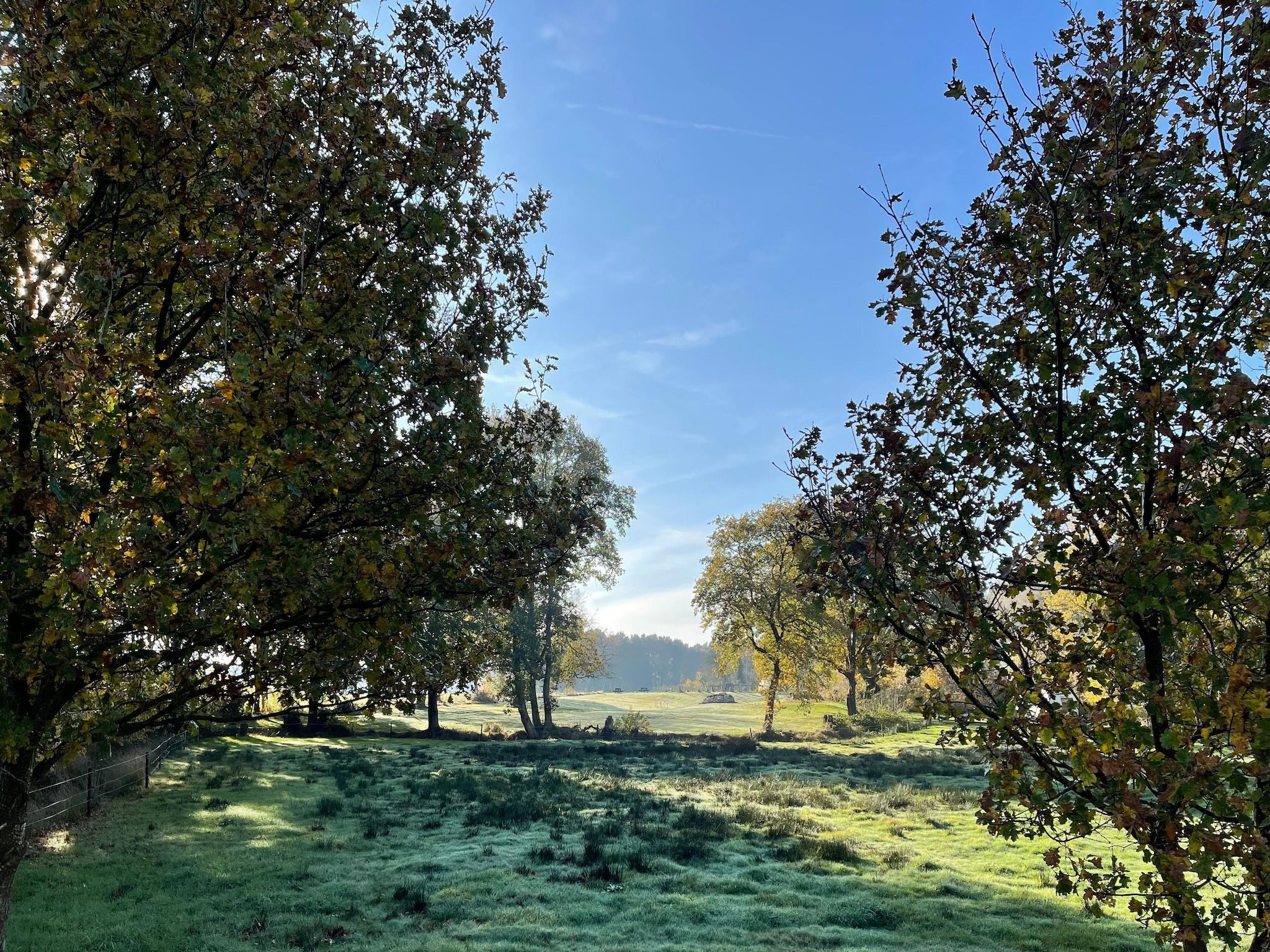 De tuin van Landhuis Hezenes in Diever