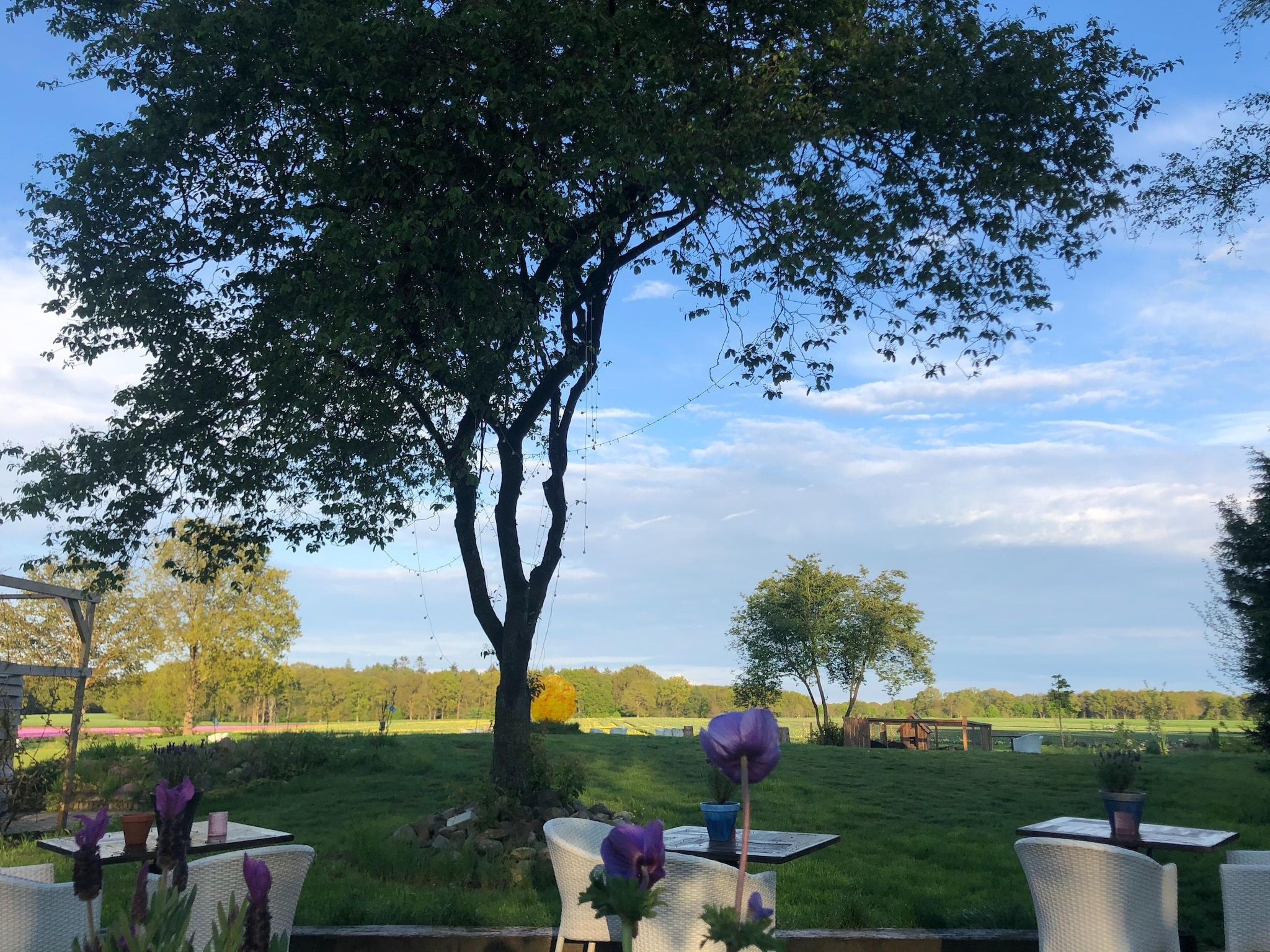 Het terras van Landhuis Hezenes in Diever