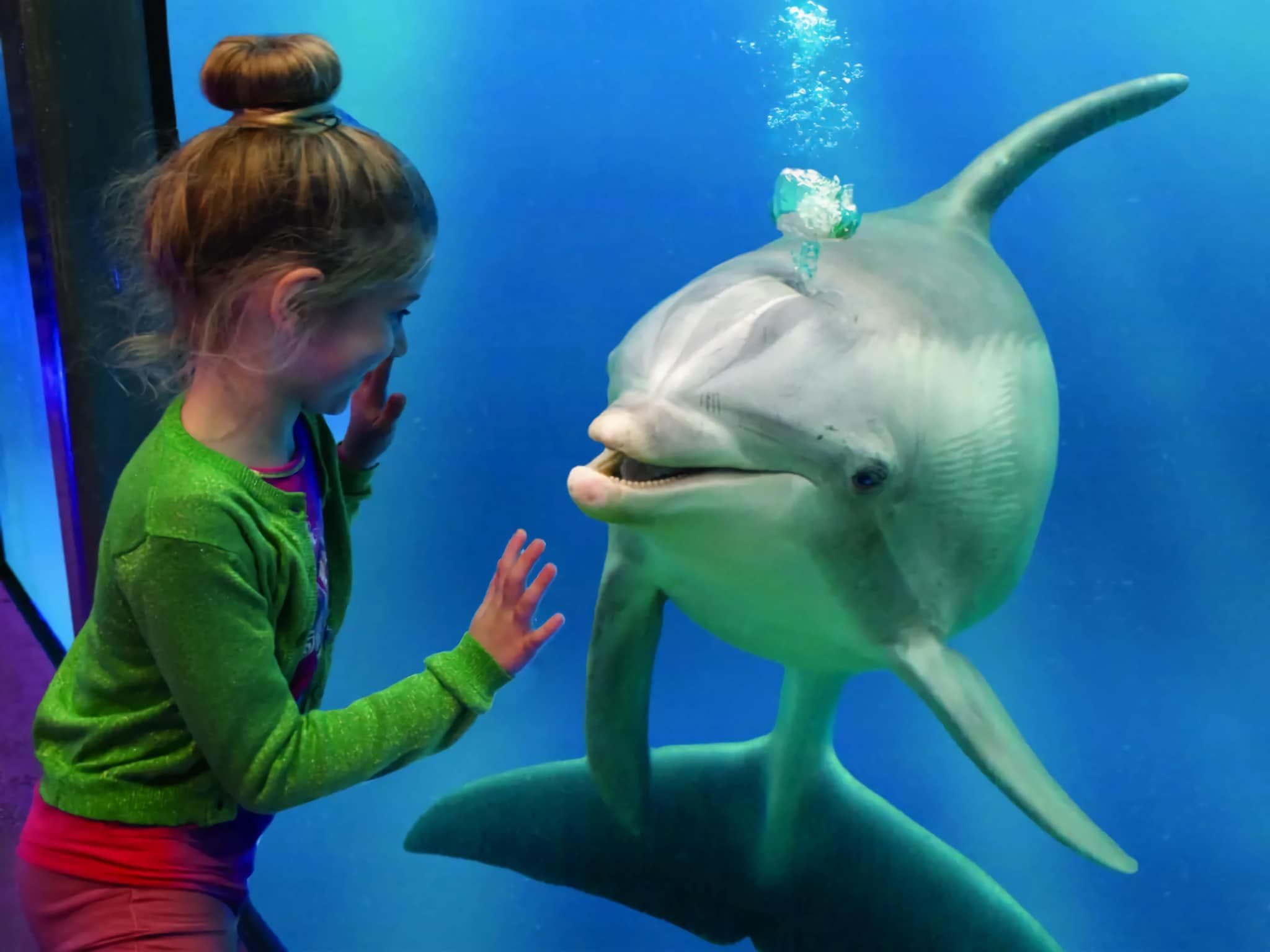 Landgoed de Lente 36 Krokus Breskens in Breskens - Foto 9 van 16