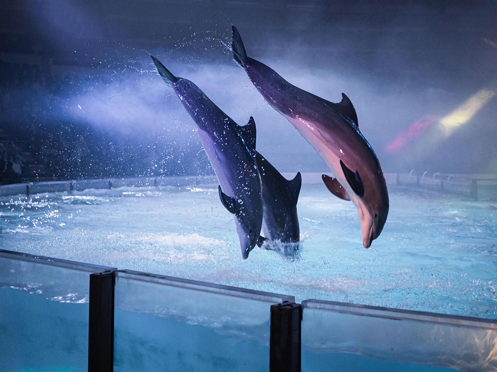 Scheldeveste 97 Schelde Breskens in Breskens - Foto 20 van 24