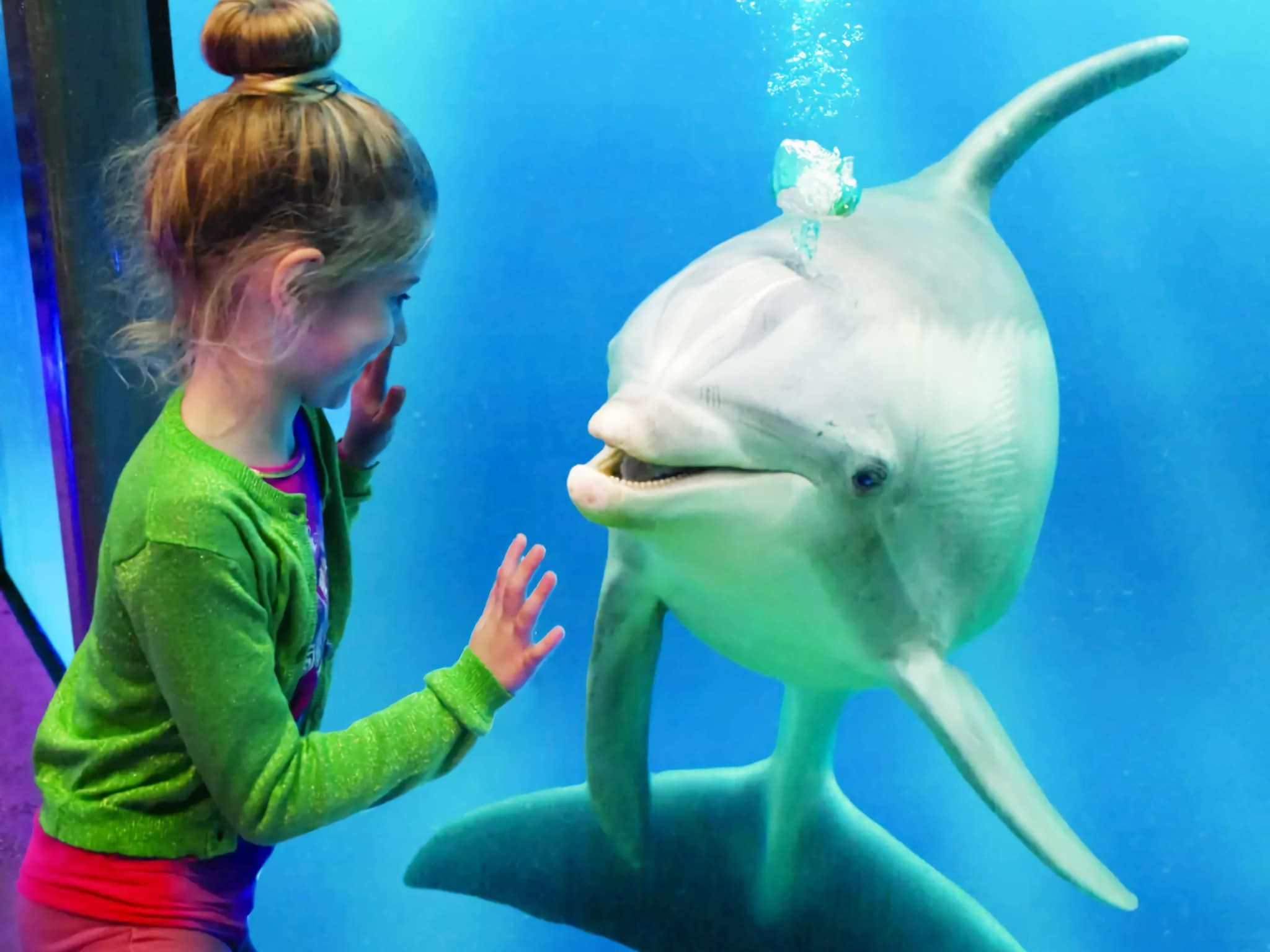 Landgoed de Lente 40 Sneeuwklokje Breskens in Breskens - Foto 18 van 23