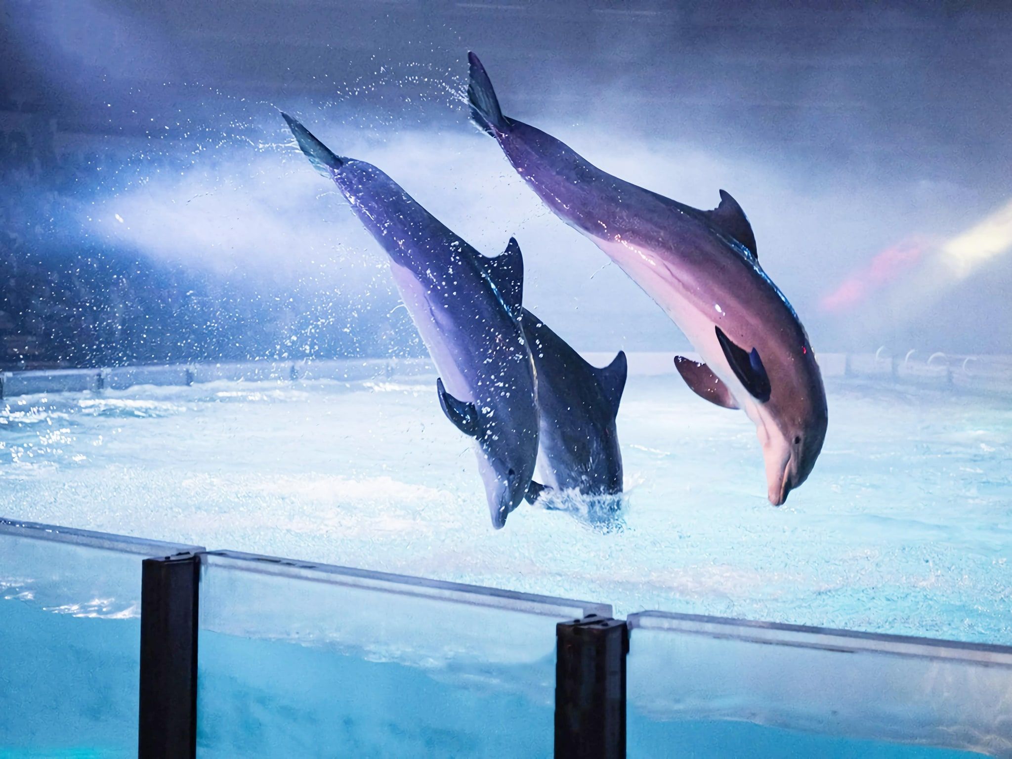 Landgoed de Lente 40 Sneeuwklokje Breskens in Breskens - Foto 19 van 23