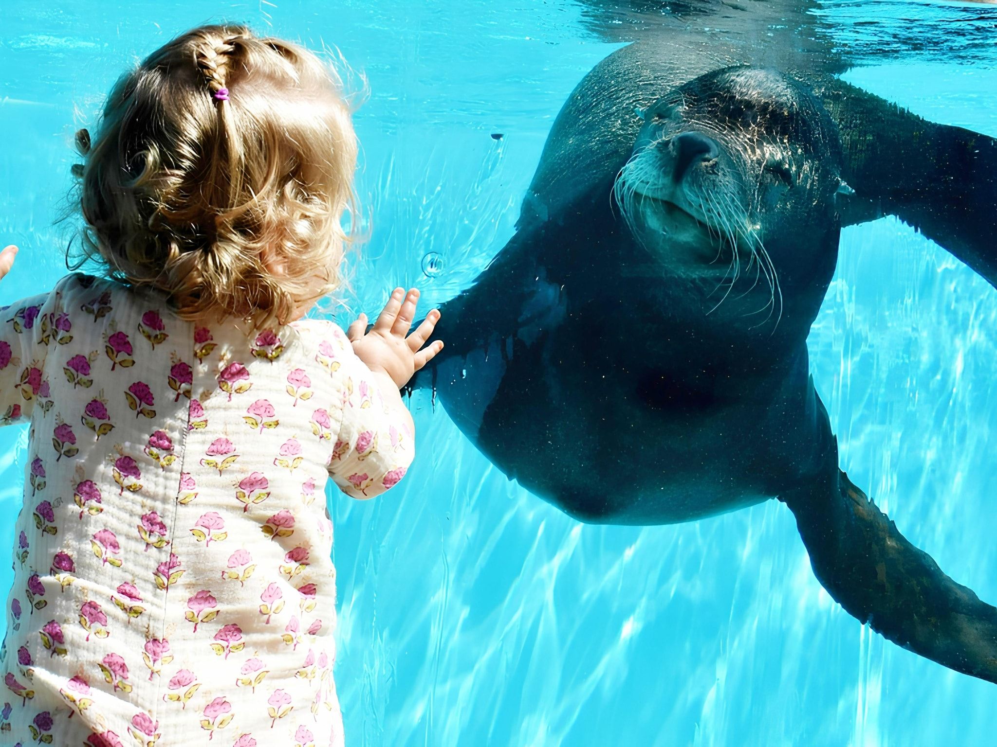 Landgoed de Lente 40 Sneeuwklokje Breskens in Breskens - Foto 21 van 23