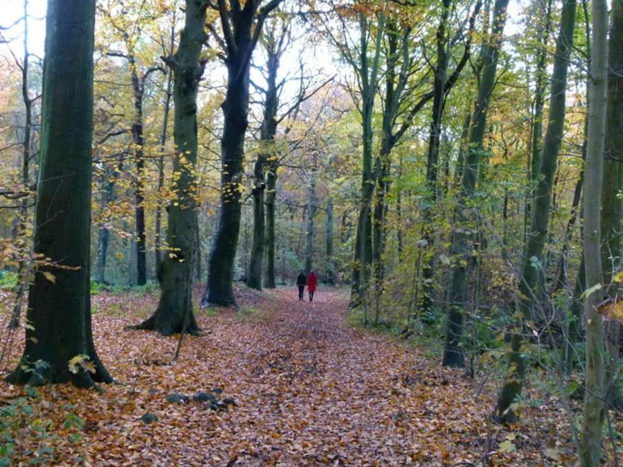 Vlugtenburg 16 in s Gravenzande - Foto 11 van 29