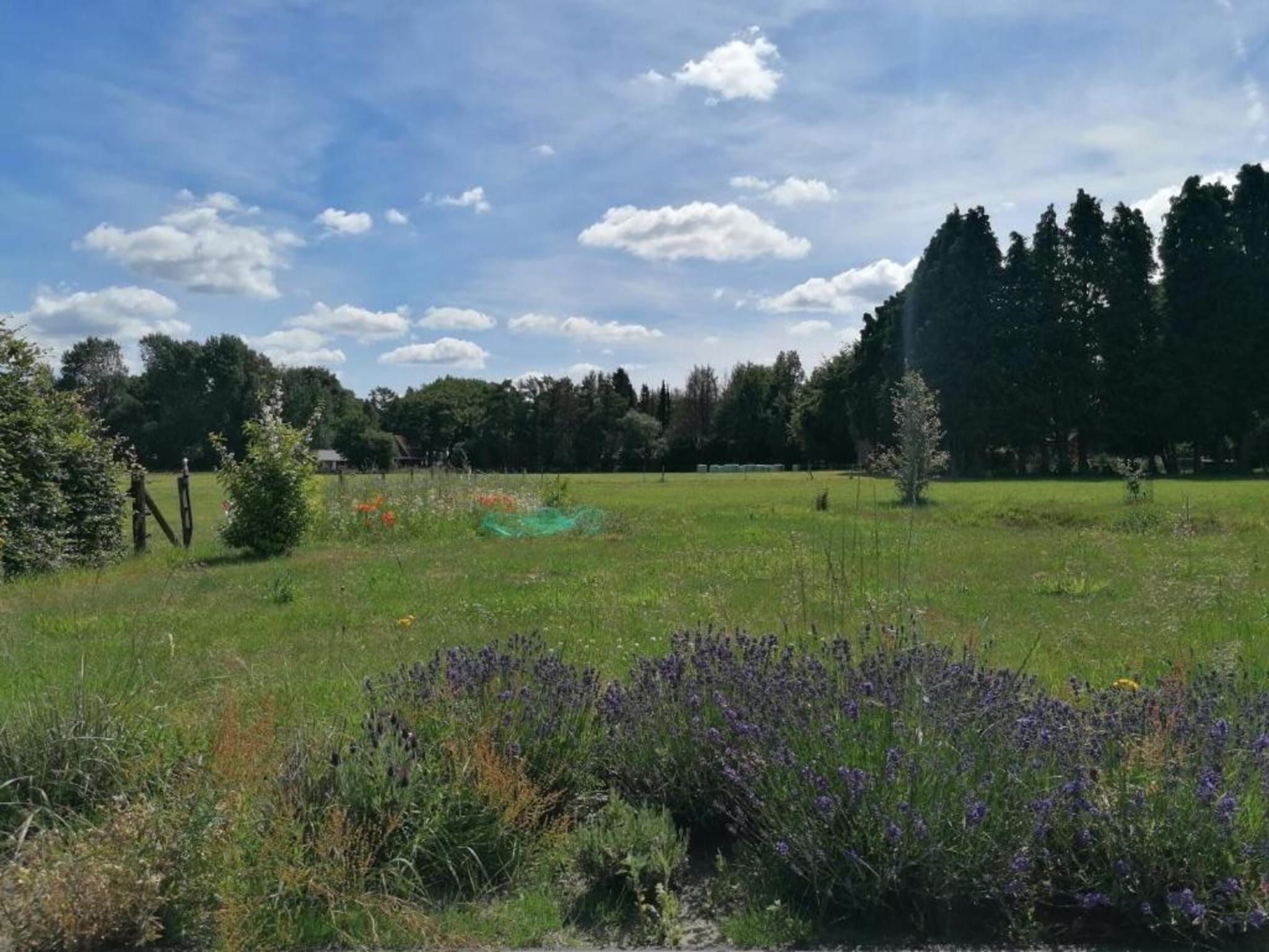 De omgeving van Vlindervallei Villa 8p in Ermelo