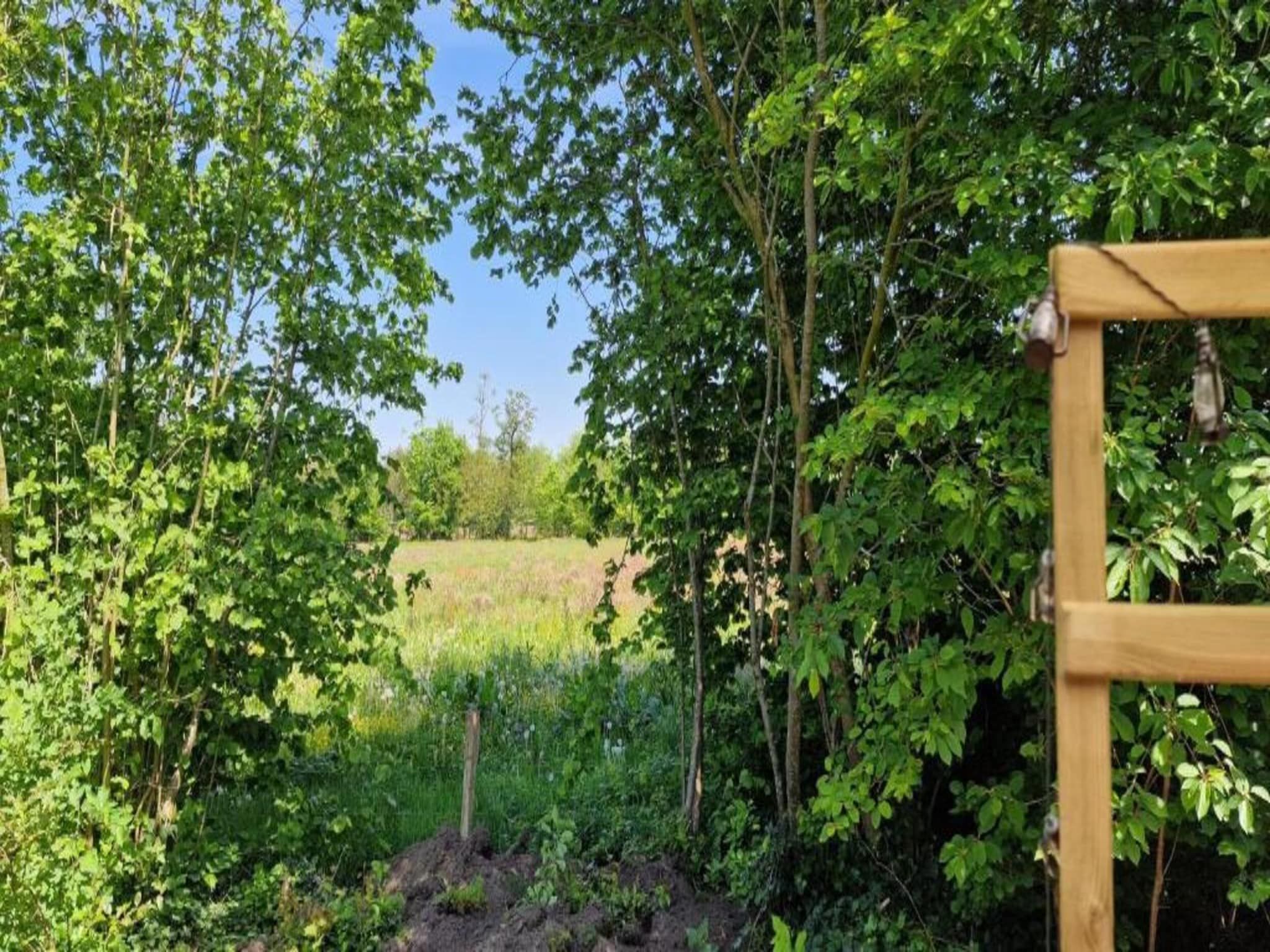 De omgeving van Vlindervallei Villa 8p in Ermelo