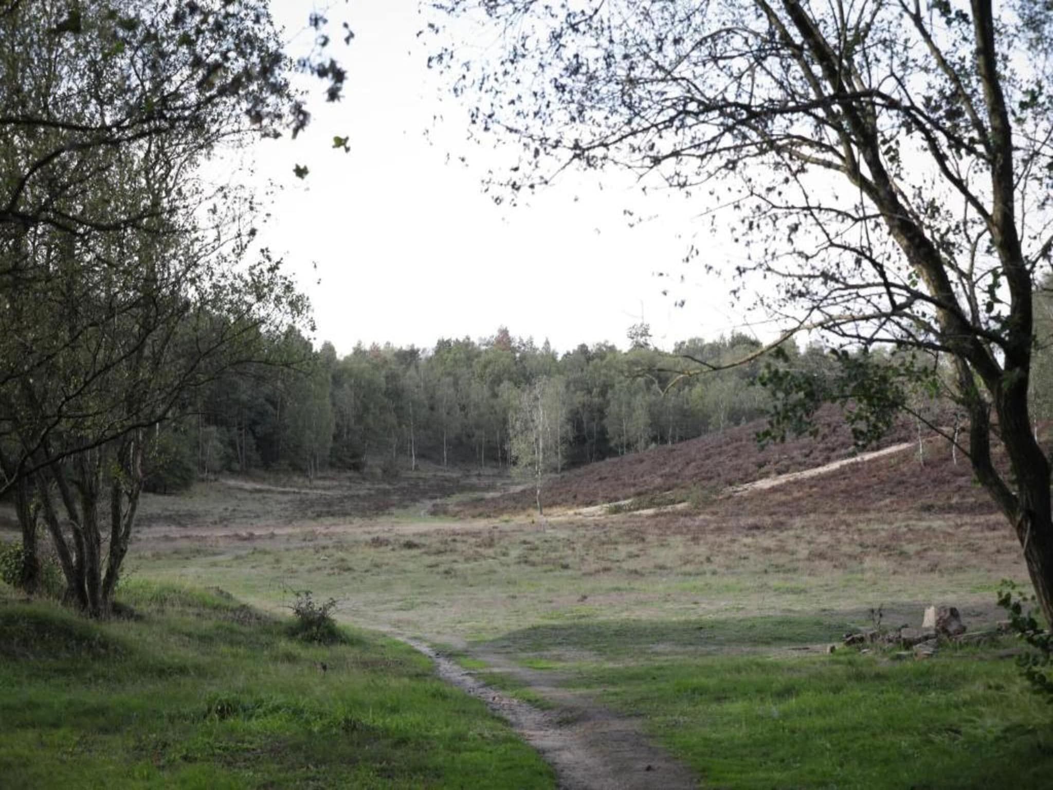 De omgeving van Vlindervallei Boshuis 16p in Ermelo