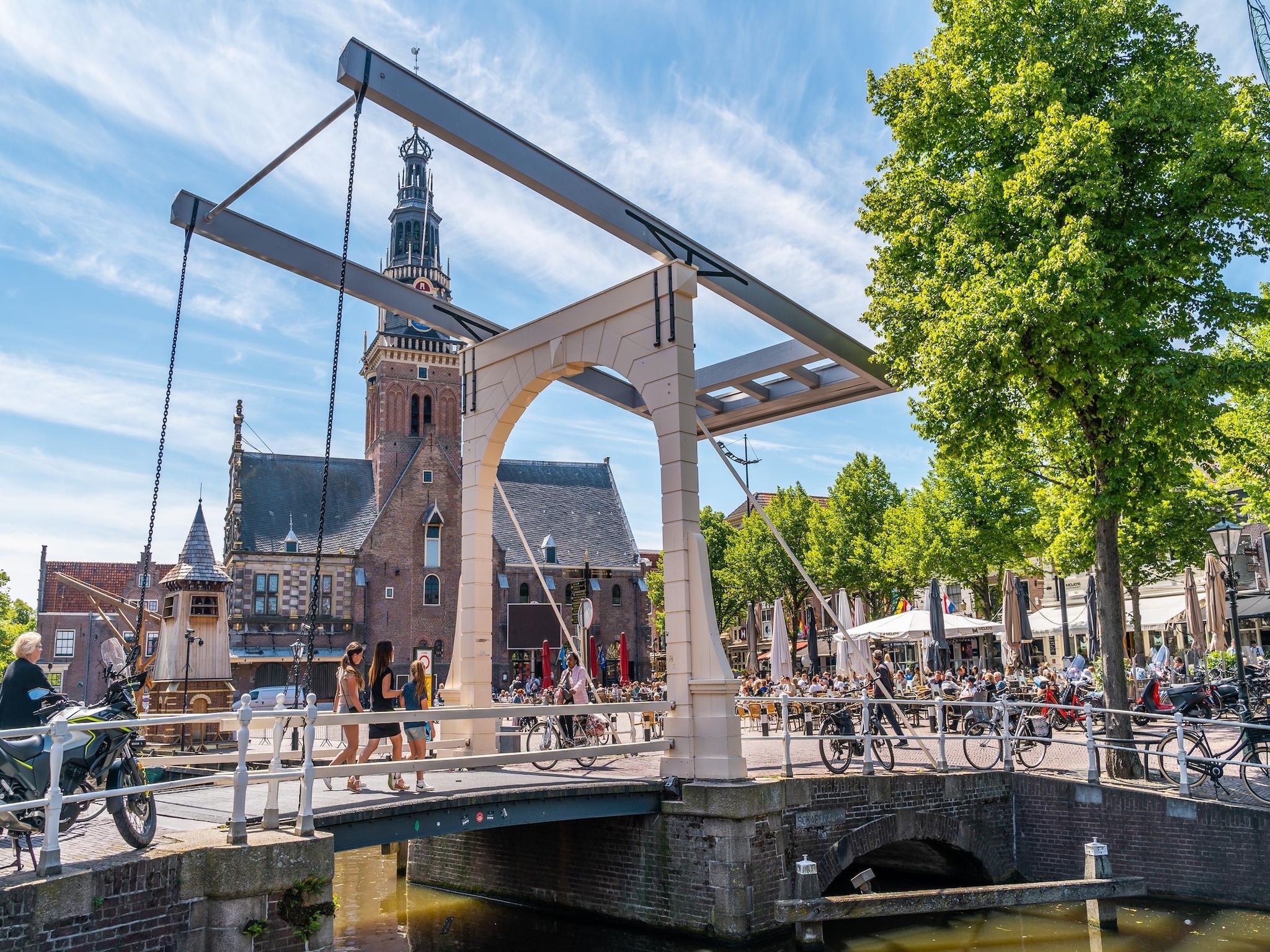 De omgeving van Molenhof Villa  10 personen in West-Graftdijk