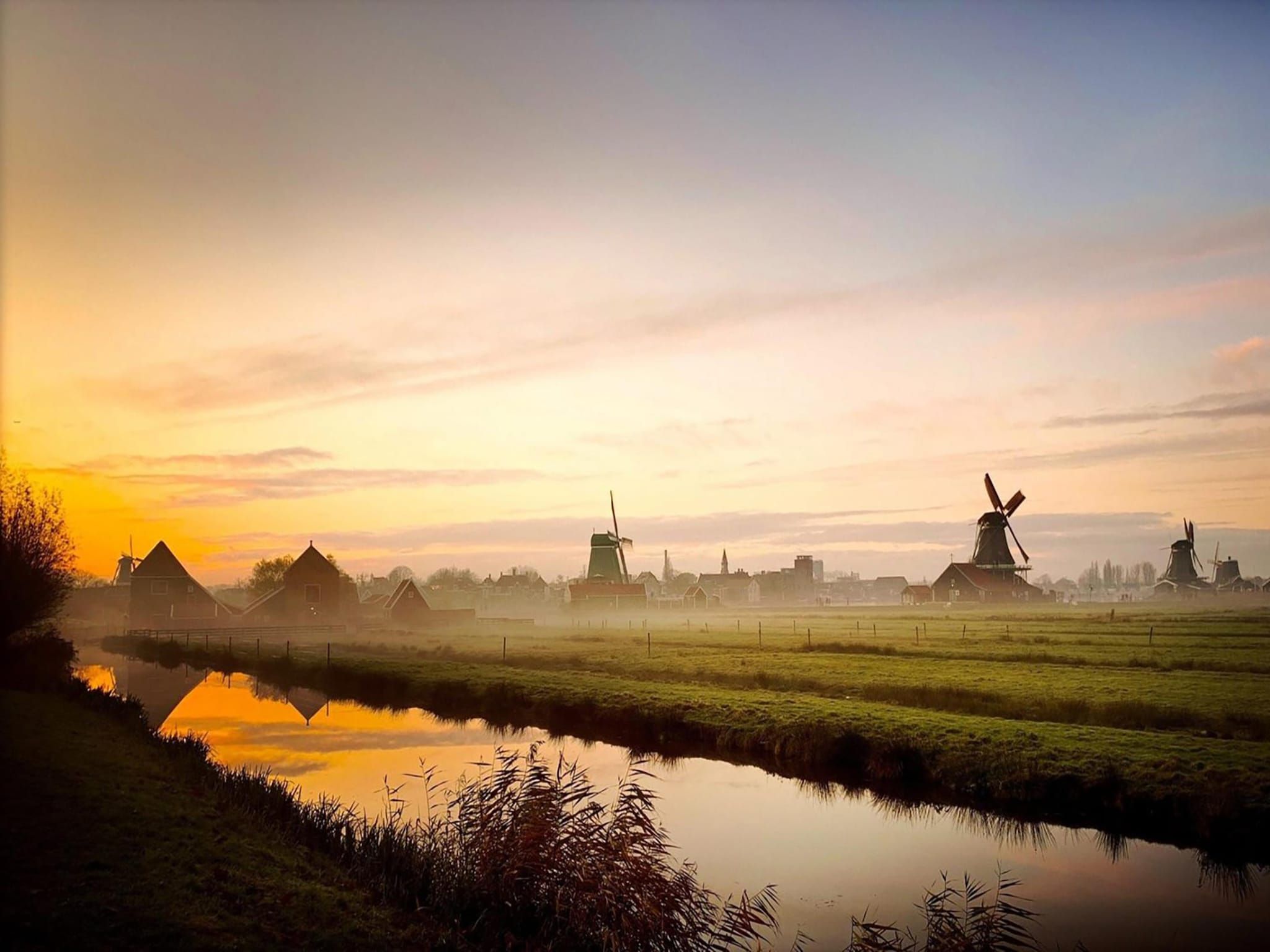 De omgeving van Tulpenhof Villa  10 personen in West-Graftdijk