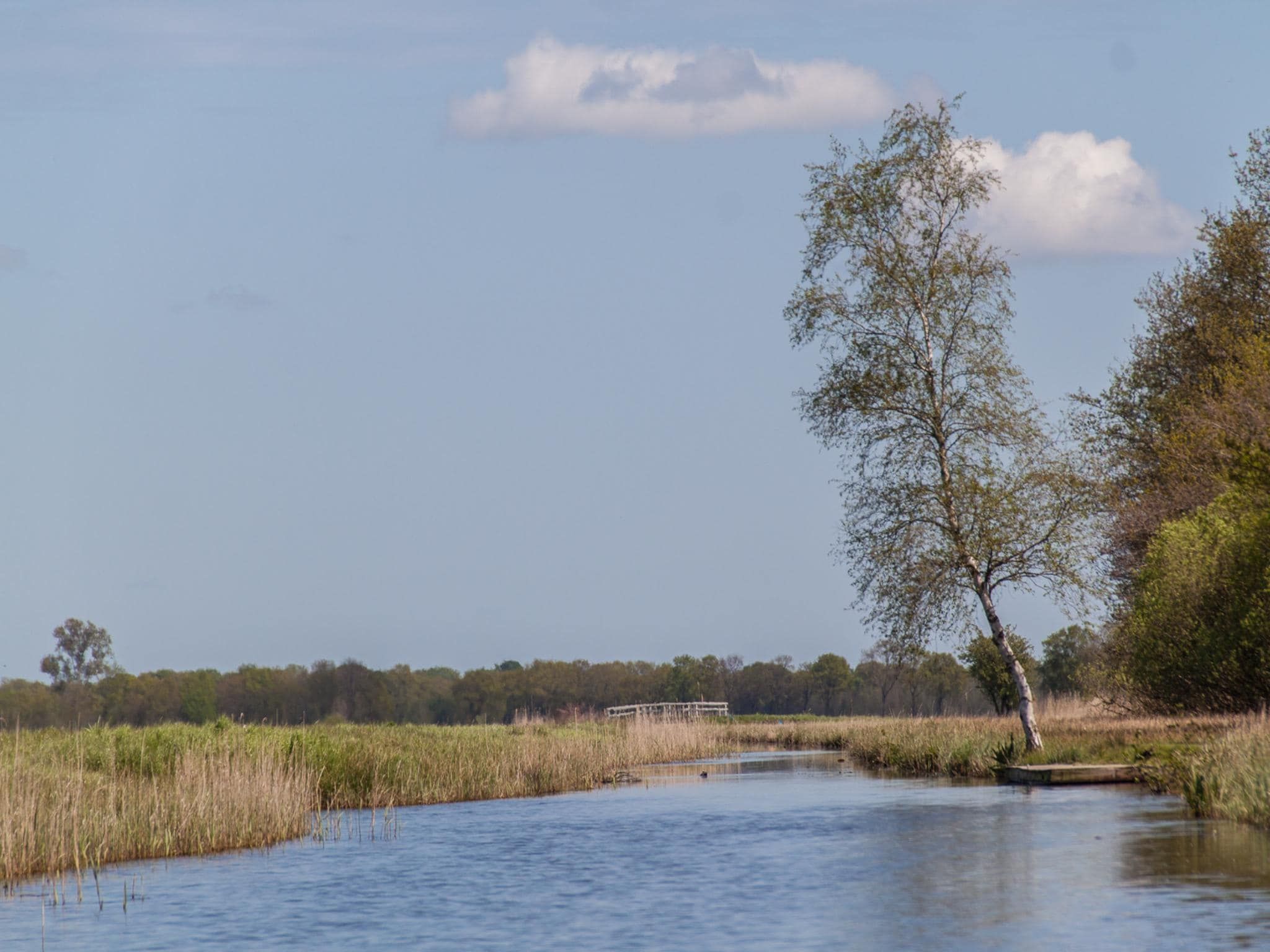 De omgeving van Groepsaccommodatie met 10 luxe tweepersoons kamers in Scherpenzeel (FR)