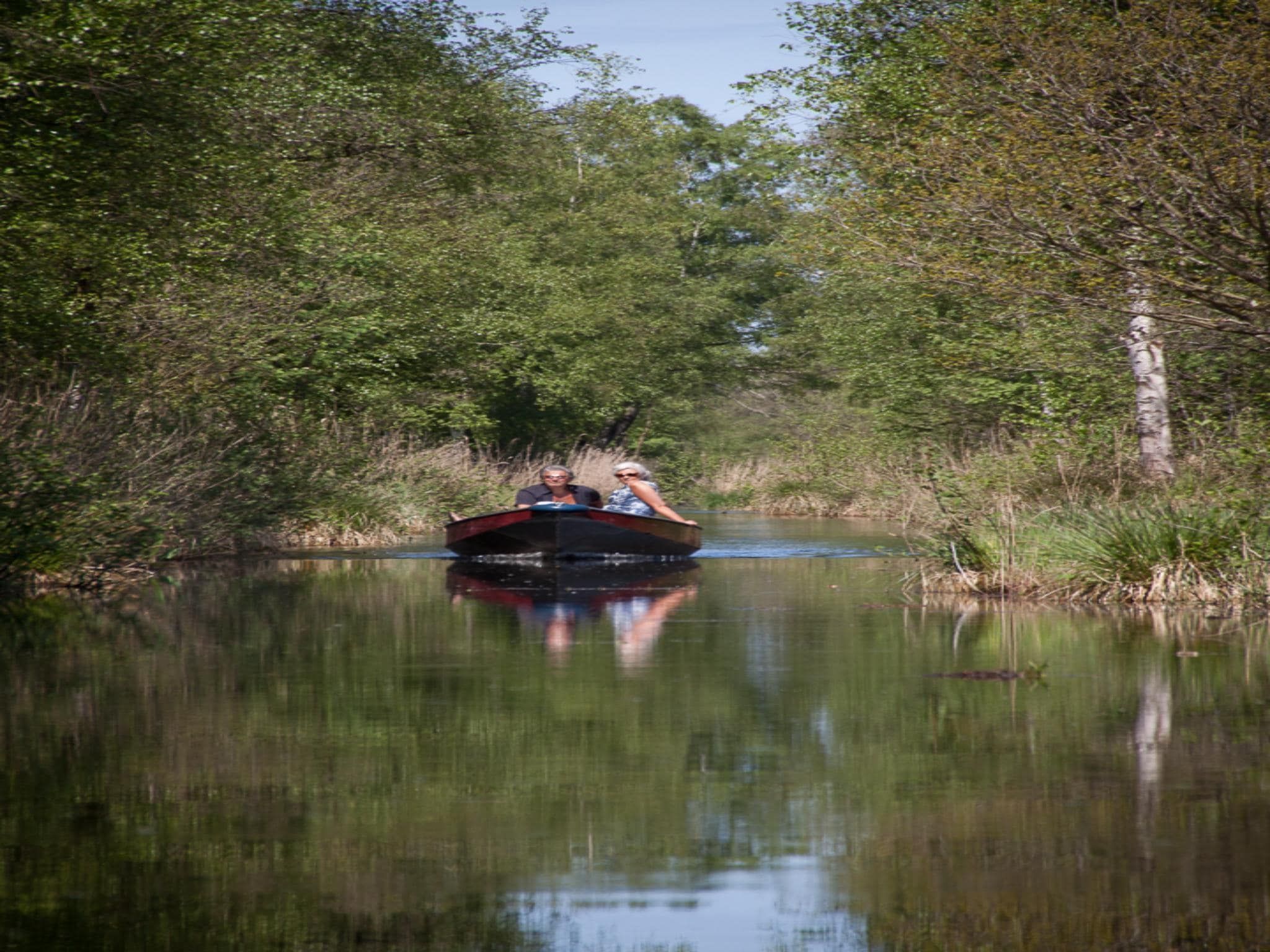 De omgeving van Groepsruimte i.c.m. 4 tiny greenhouses in Scherpenzeel (FR)
