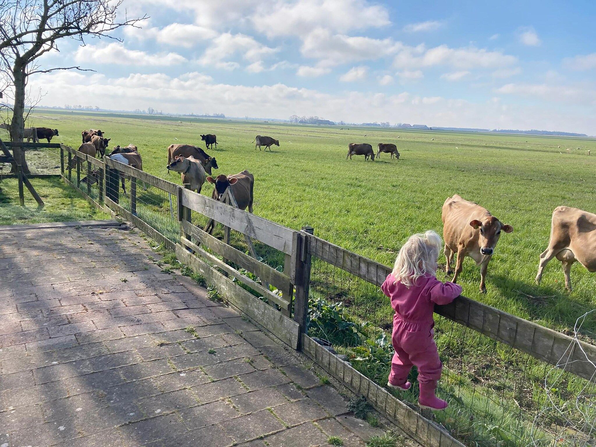 Het uitzicht vanaf Grutto en Turleluur in Tjerkgaast