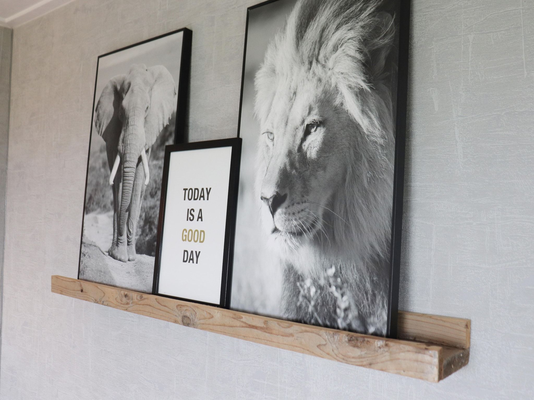 Sfeerbeeld van Grutto en Turleluur in Tjerkgaast