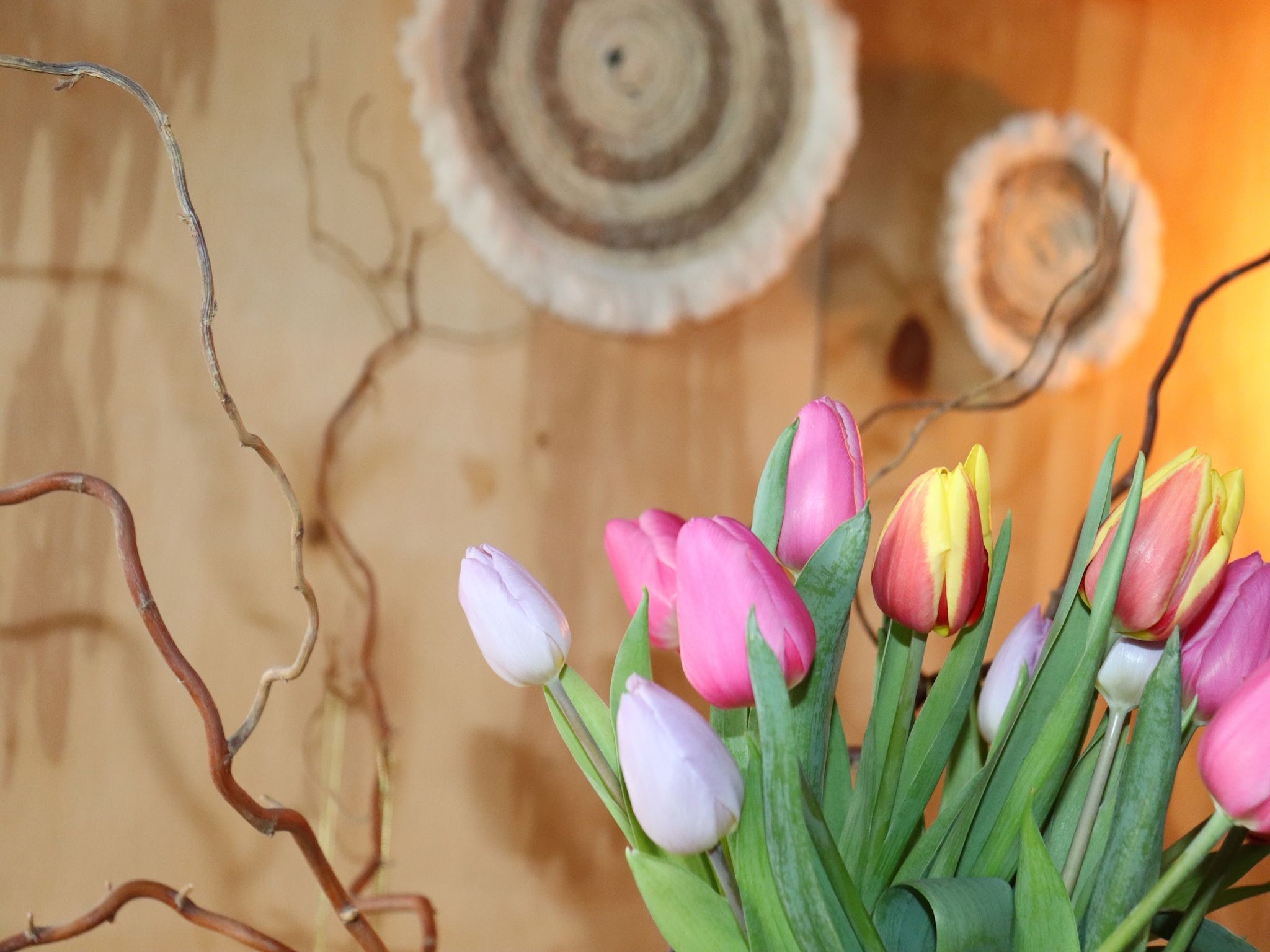 Sfeerbeeld van Grutto en Turleluur in Tjerkgaast