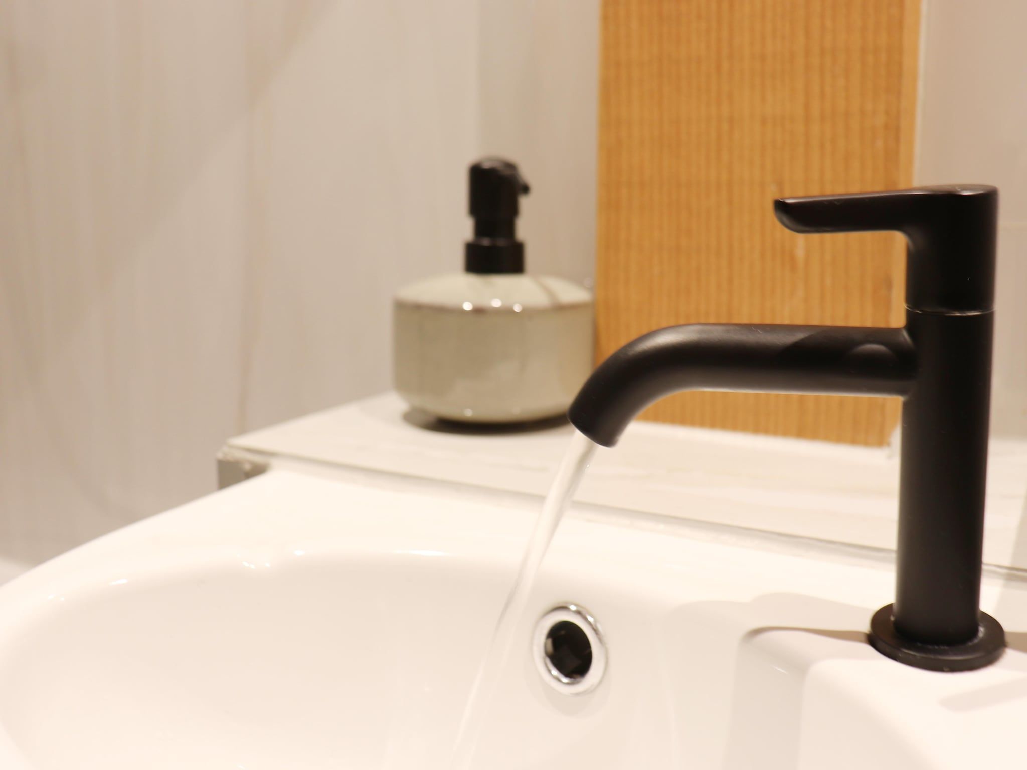 Sfeerbeeld van Grutto en Turleluur in Tjerkgaast