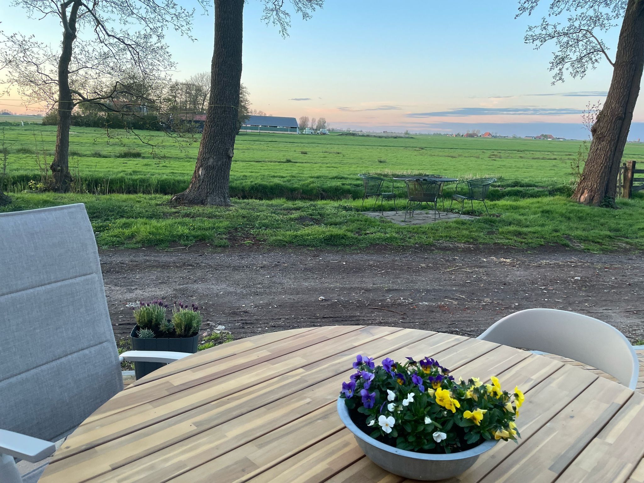 Het terras van Berkenhof 8 personen in Workum