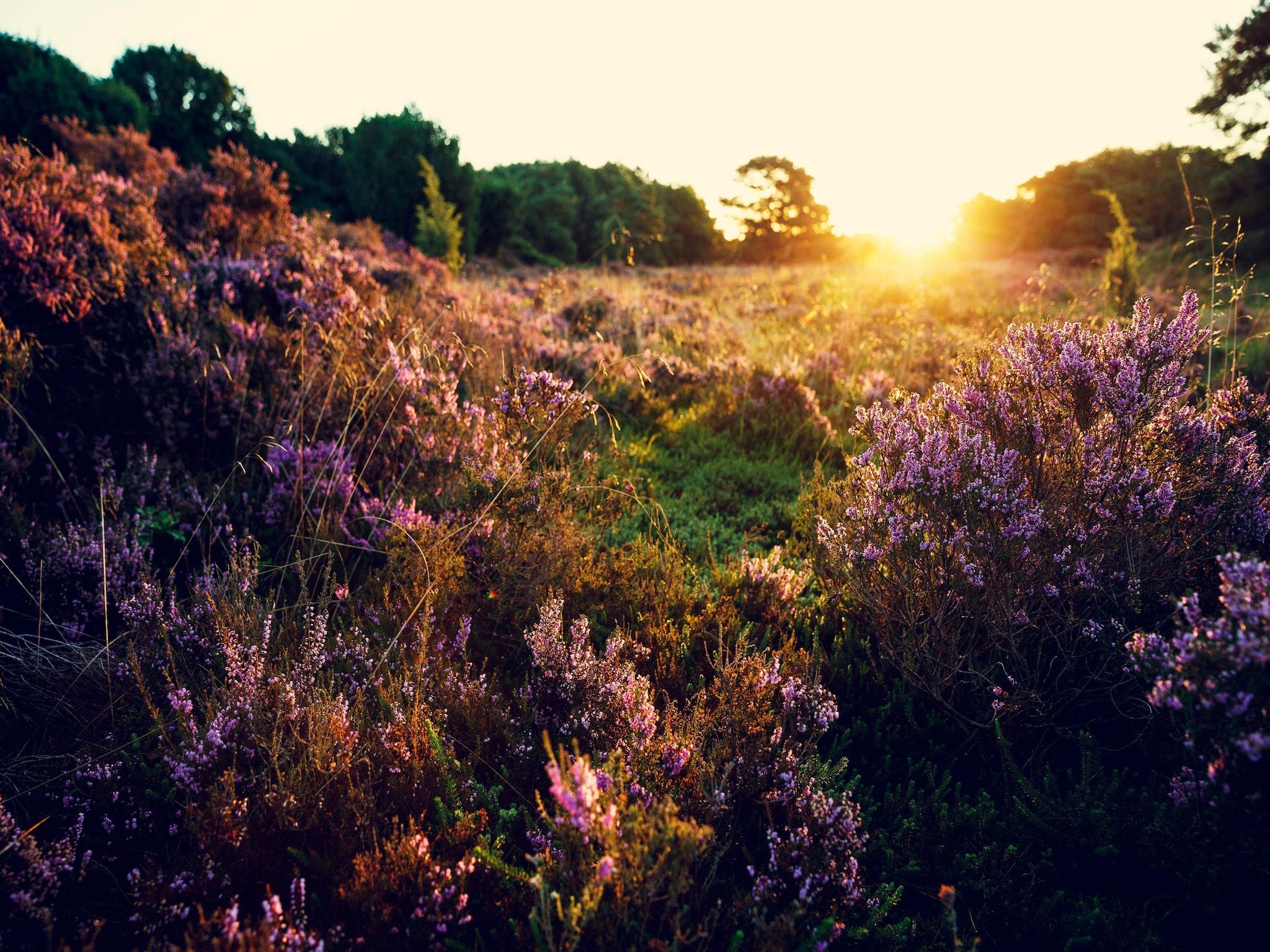 De Saale Lifestyle in TA Gasselte - Foto 10 van 16