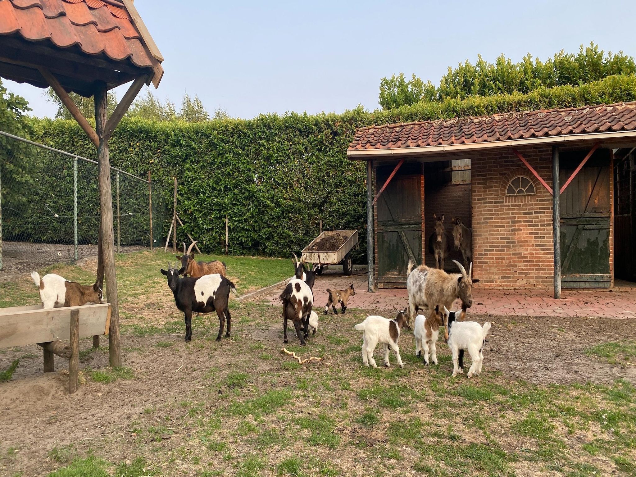 Voorzieningen bij De Herberg in Bergen op Zoom