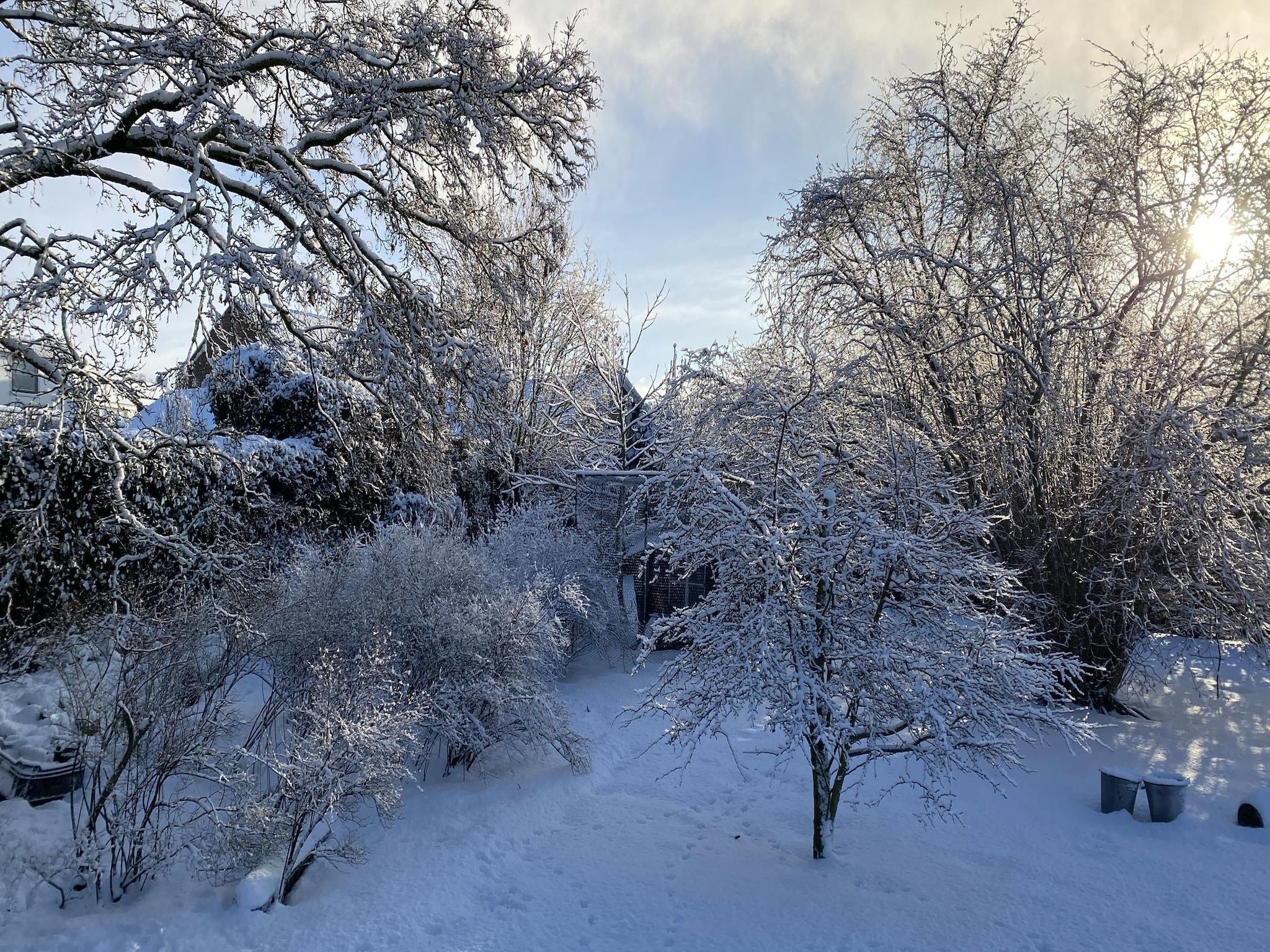 De Herberg in Bergen op Zoom - Foto 28 van 31