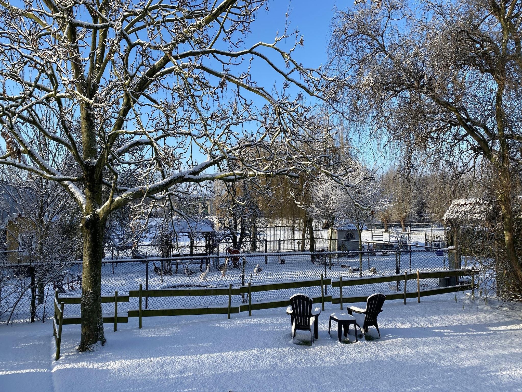 Het terras van De Herberg in Bergen op Zoom