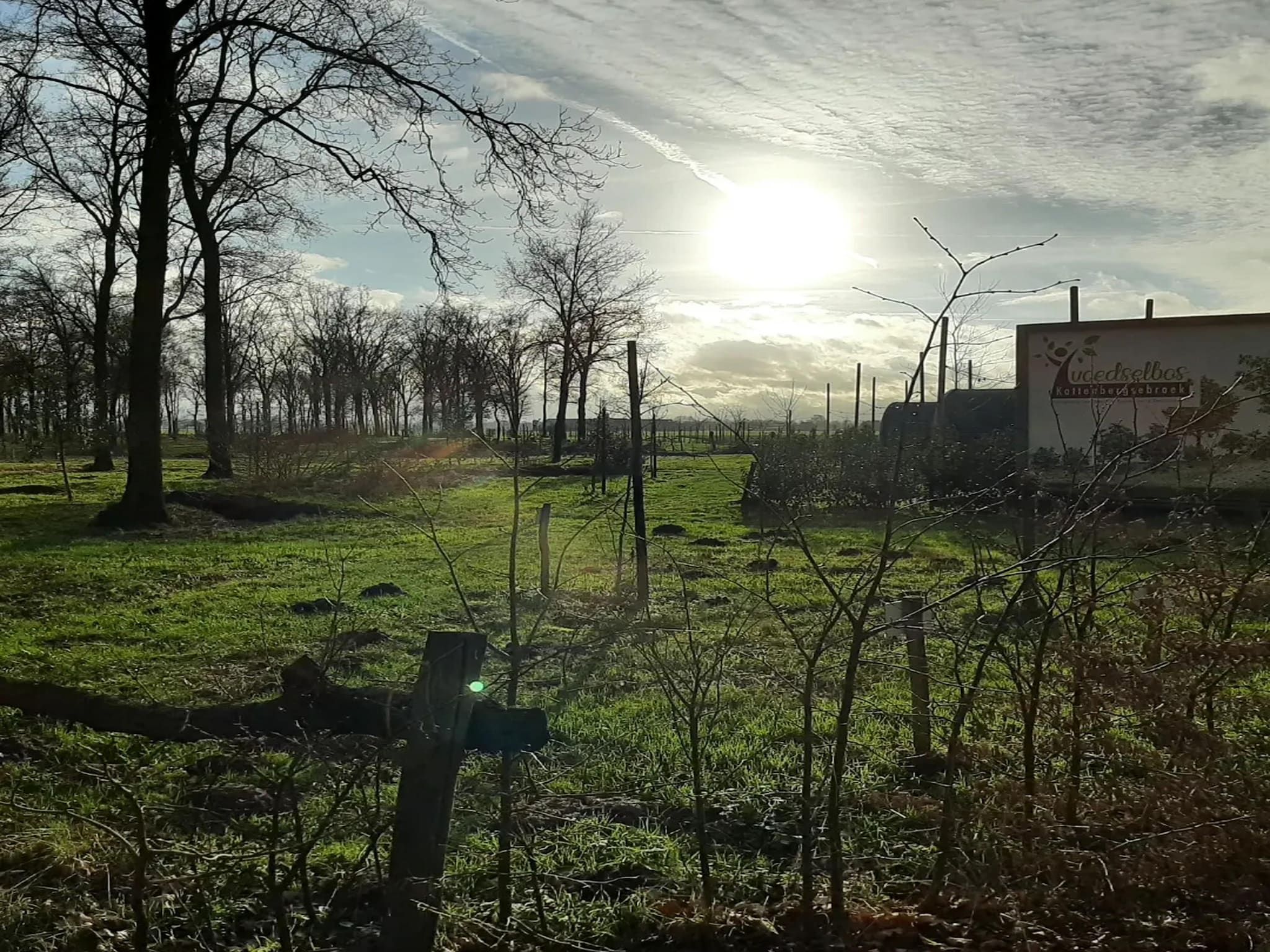 Het uitzicht vanaf Het Boshuis in Oirschot