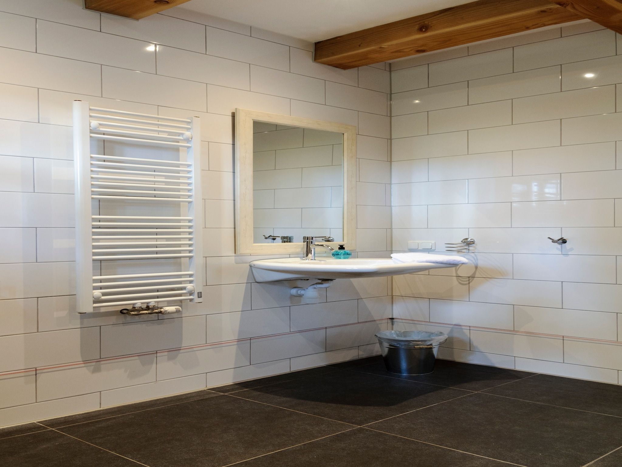 De badkamer van Groepsaccomodatie - Balkenhoeve in Schagen