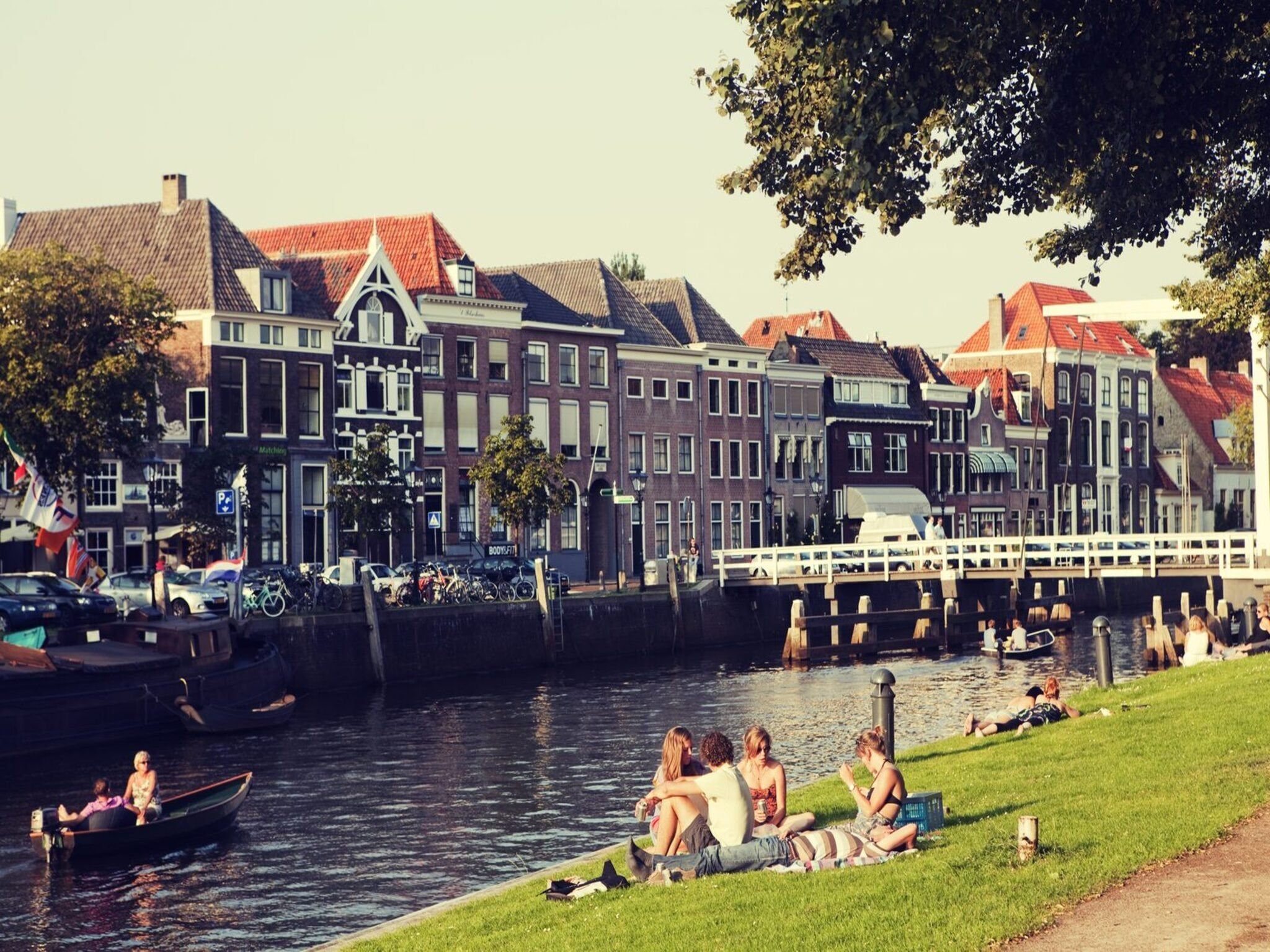 De omgeving van Group accommodation (7x Happy Oak Lodge 28p) in Zuna