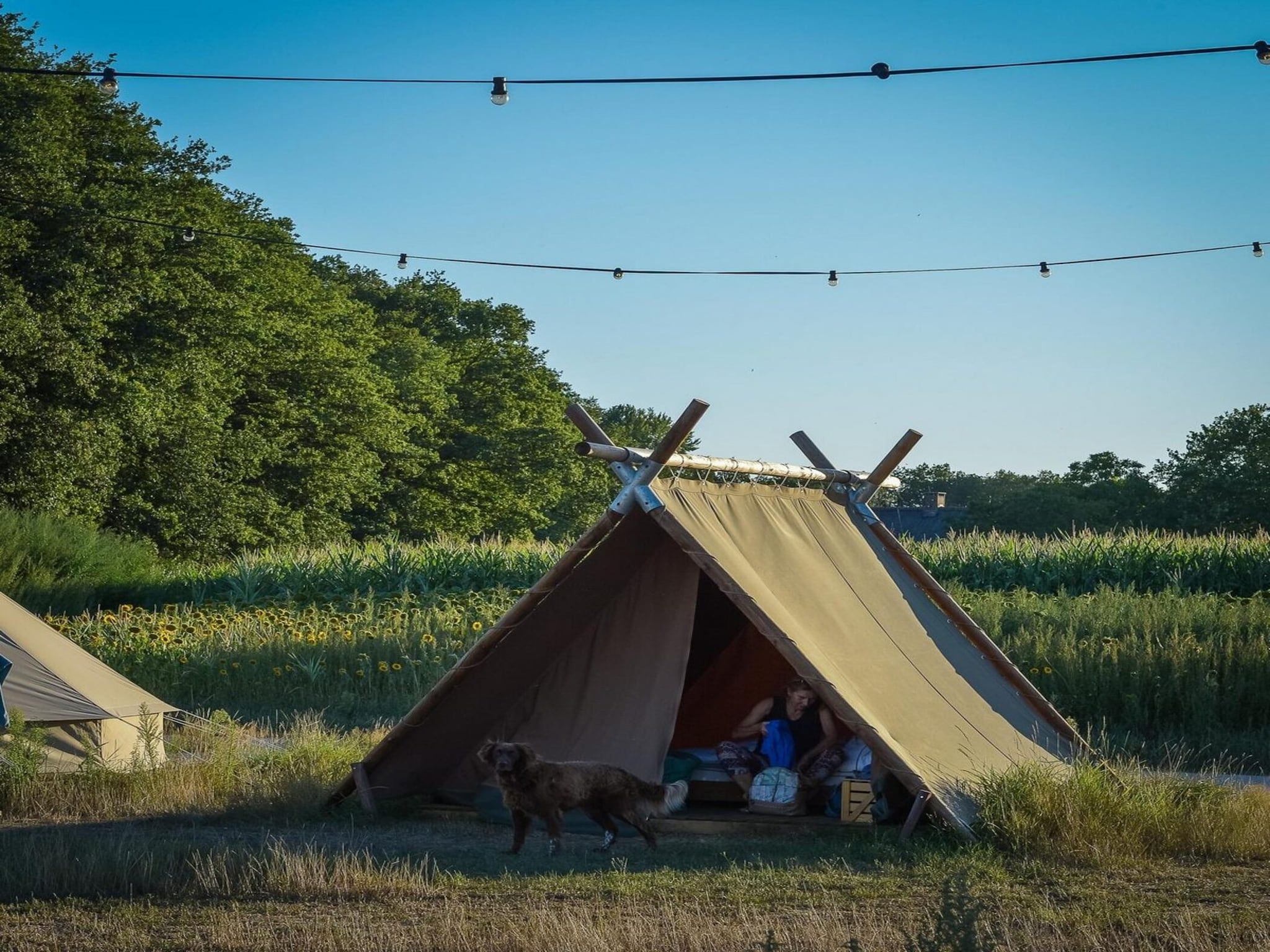 De buitenkant van Group accommodation (6x luxury glamping tent) I 32 people in Zuna