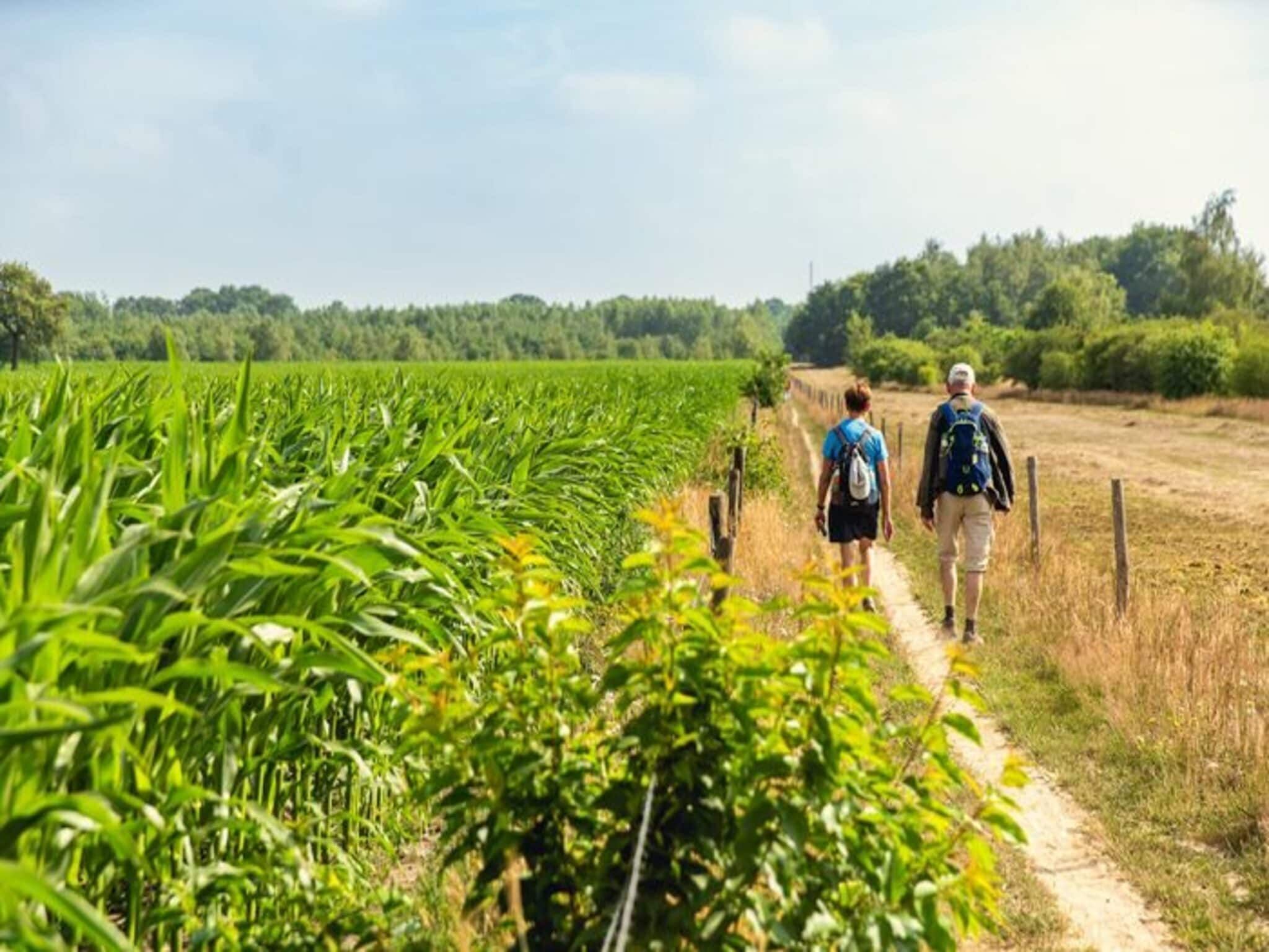 De omgeving van Group accommodation (6x luxury glamping tent) I 32 people in Zuna