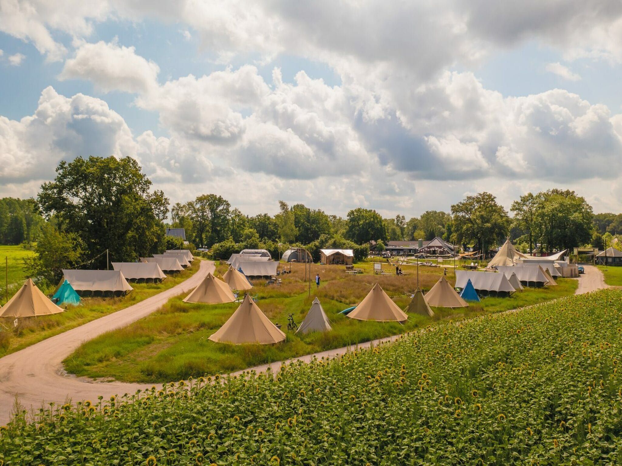 De omgeving van Safaritent met privé sanitair en extra groot terras | 8 personen in Zuna