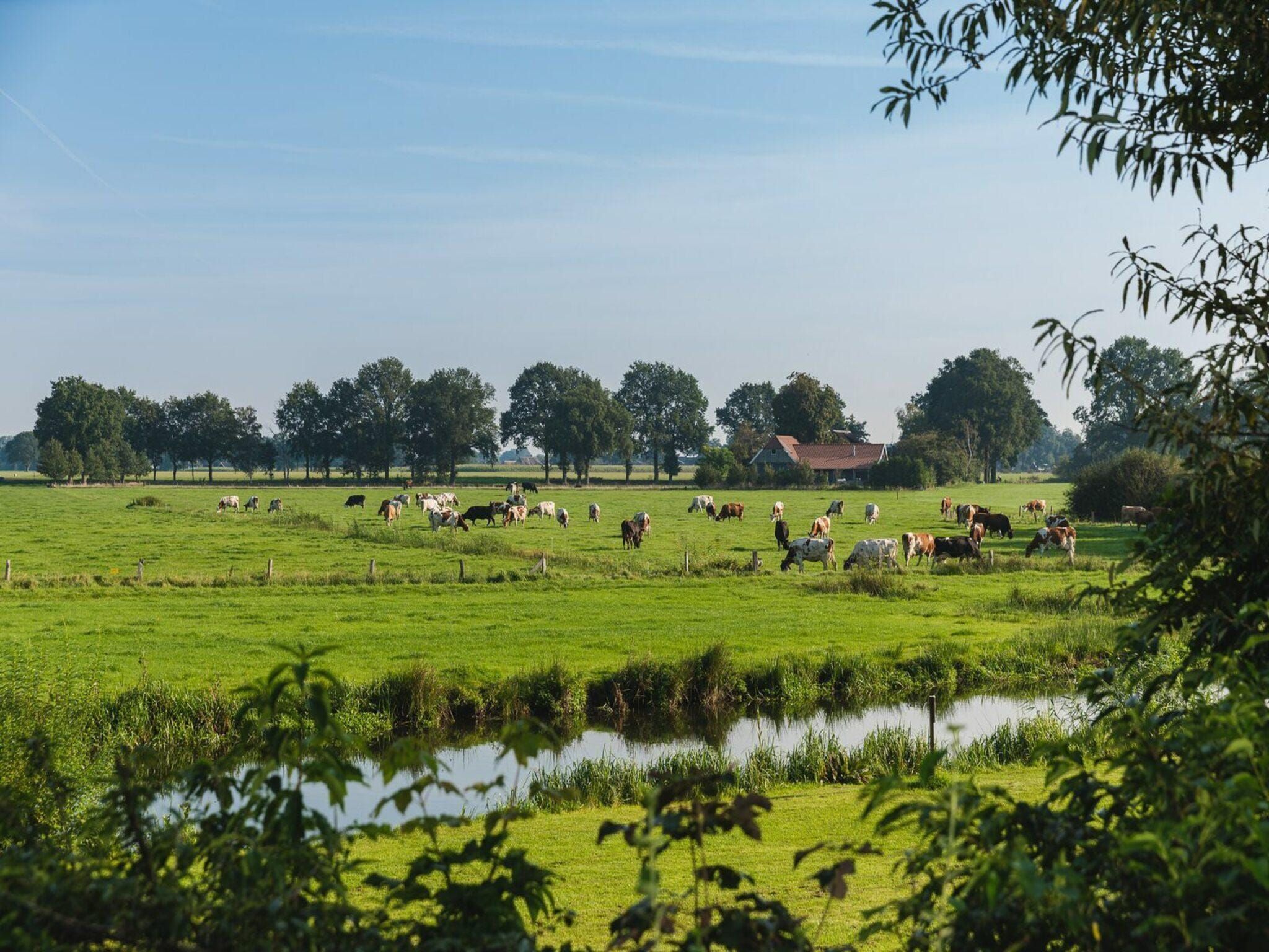 De omgeving van Safaritent met privé sanitair en extra groot terras | 8 personen in Zuna