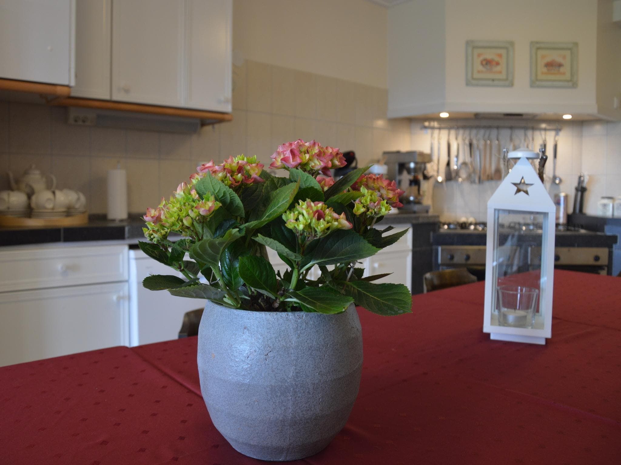 Sfeerbeeld van BELLEVUE in Noordbeemster