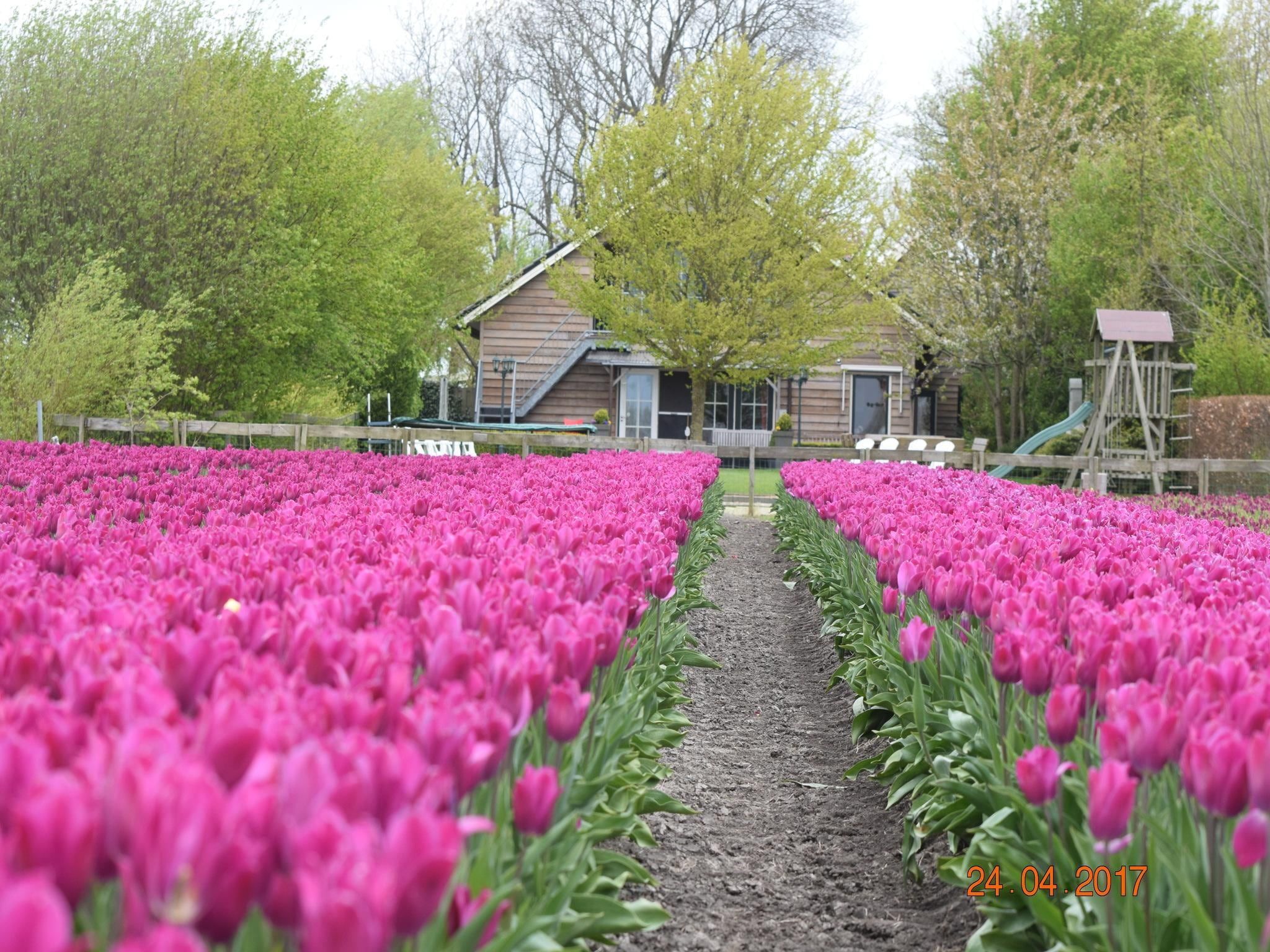 De tuin van BELLEVUE in Noordbeemster