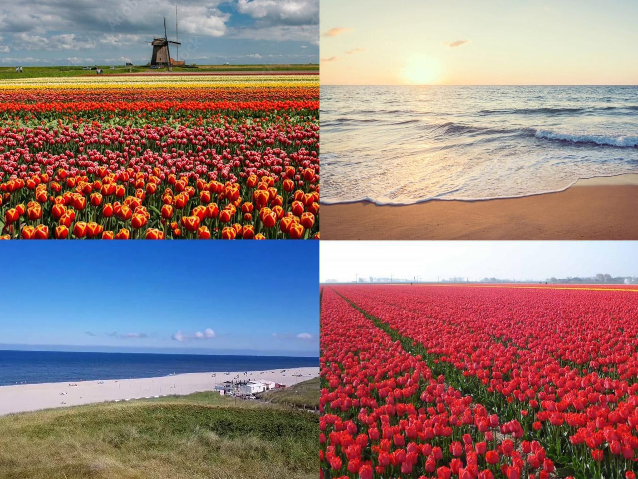 Wijde Blick 011 in Callantsoog - Foto 29 van 30