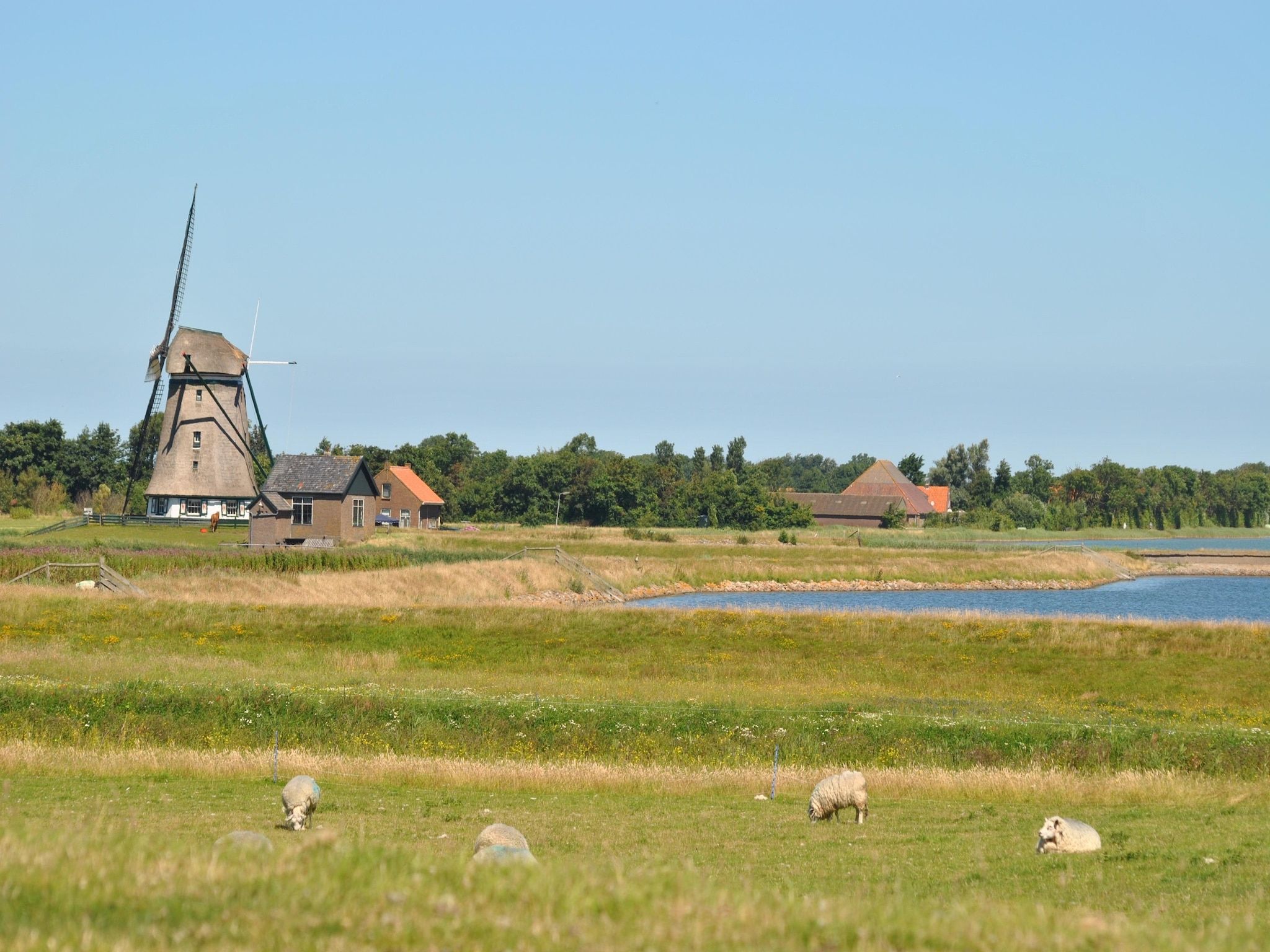 De omgeving van De Witte Parel in Den Burg