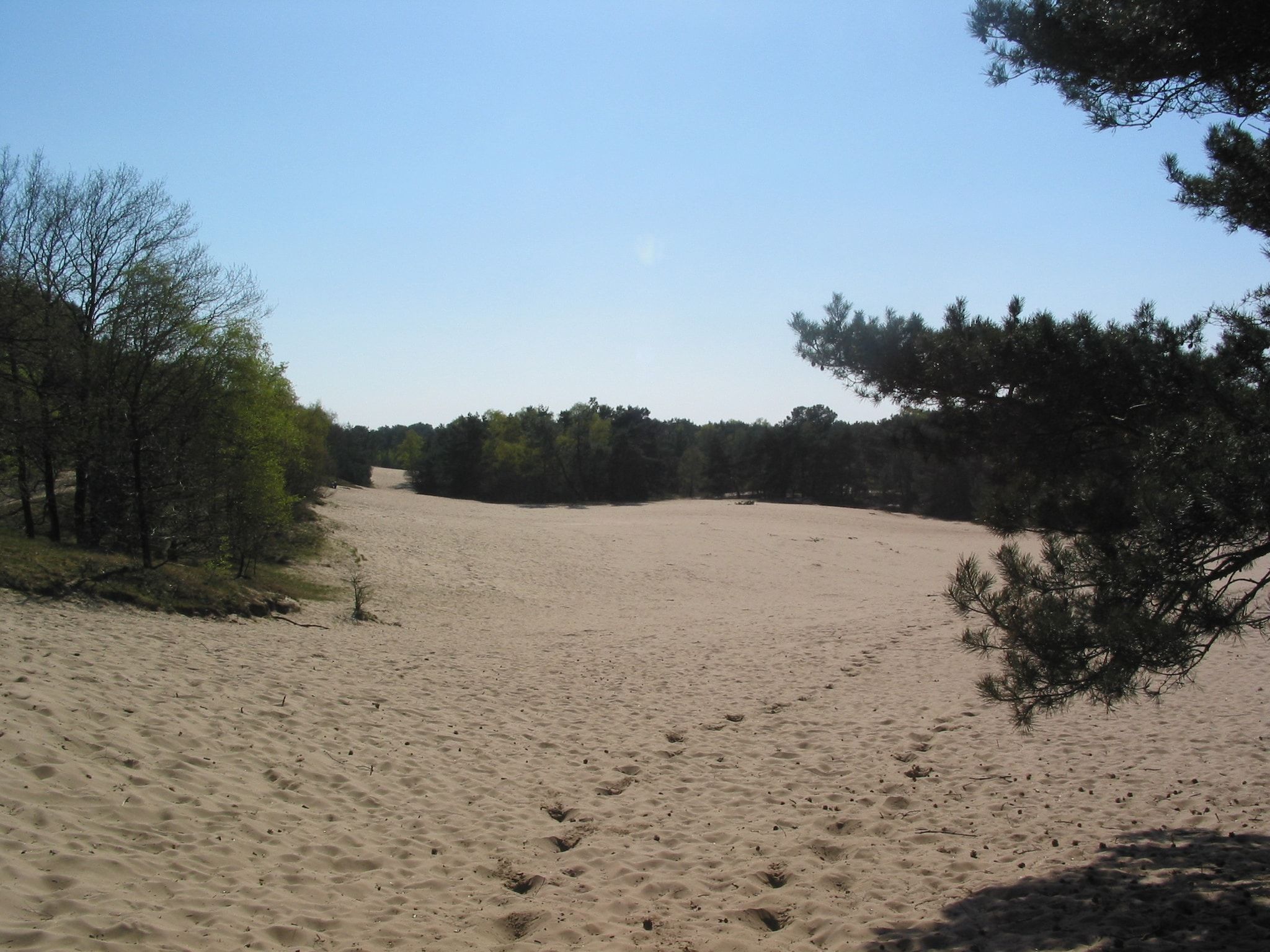 Vakantiepark Herperduin 6 in Herpen - Foto 22 van 23