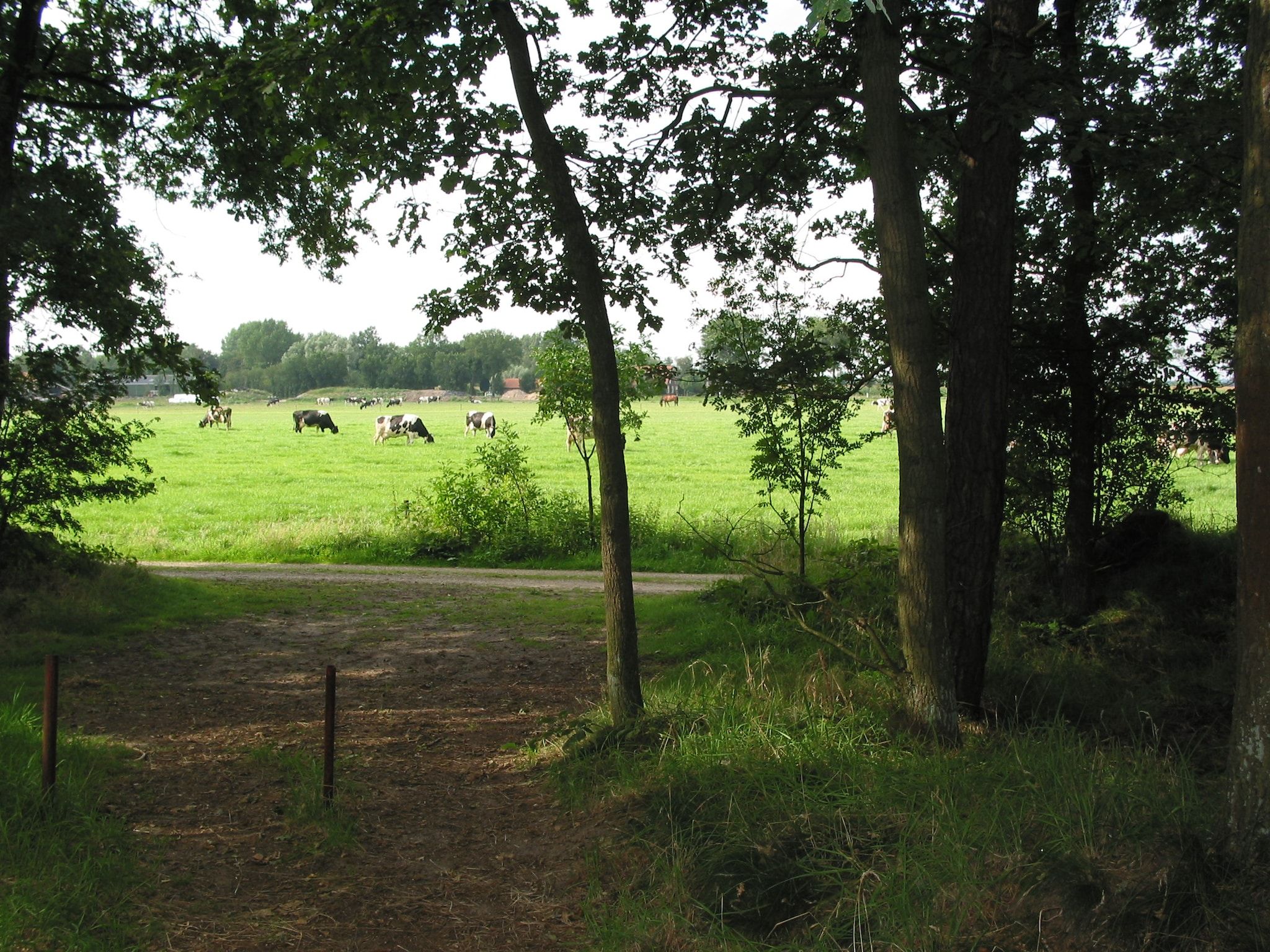 Vakantiepark Herperduin 6 in Herpen - Foto 23 van 23